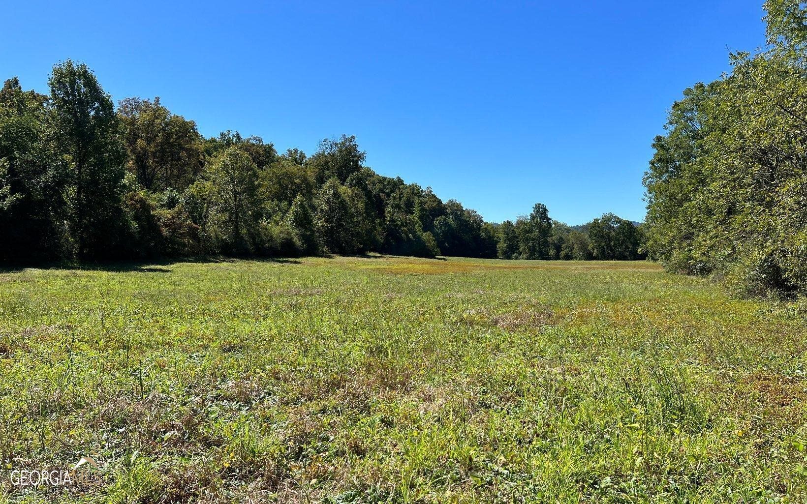 37+ Acres Jarrett Road Property Photo 53