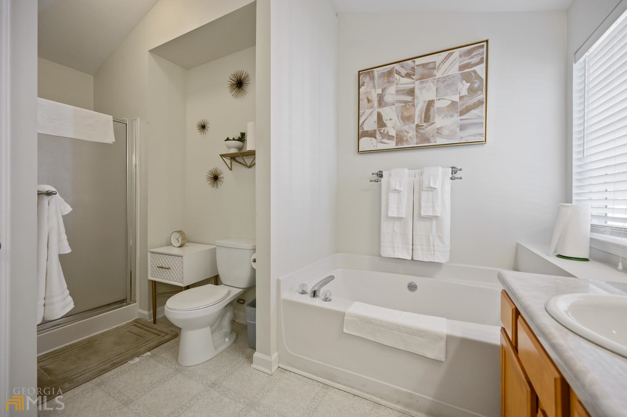 4632 Liberty Square Drive Property Photo 26
