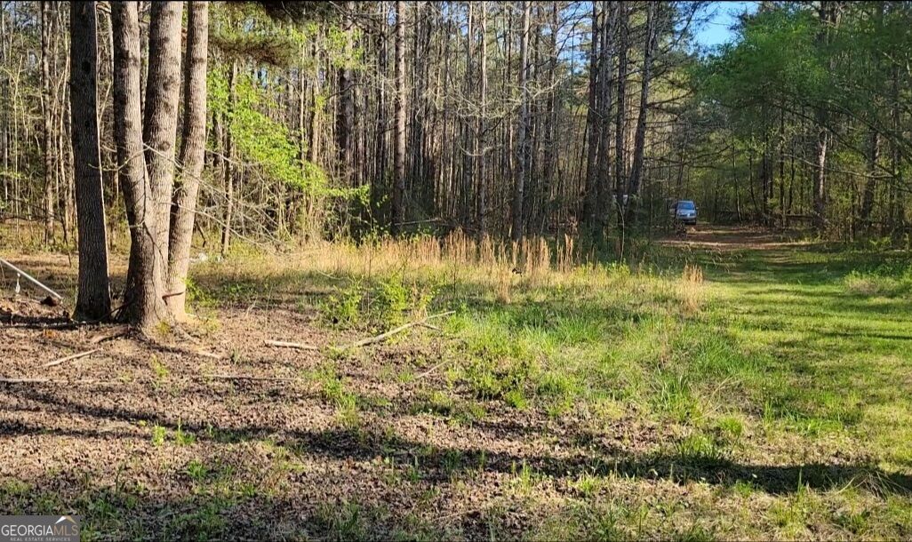0 Pierce Dairy Road Property Photo 1