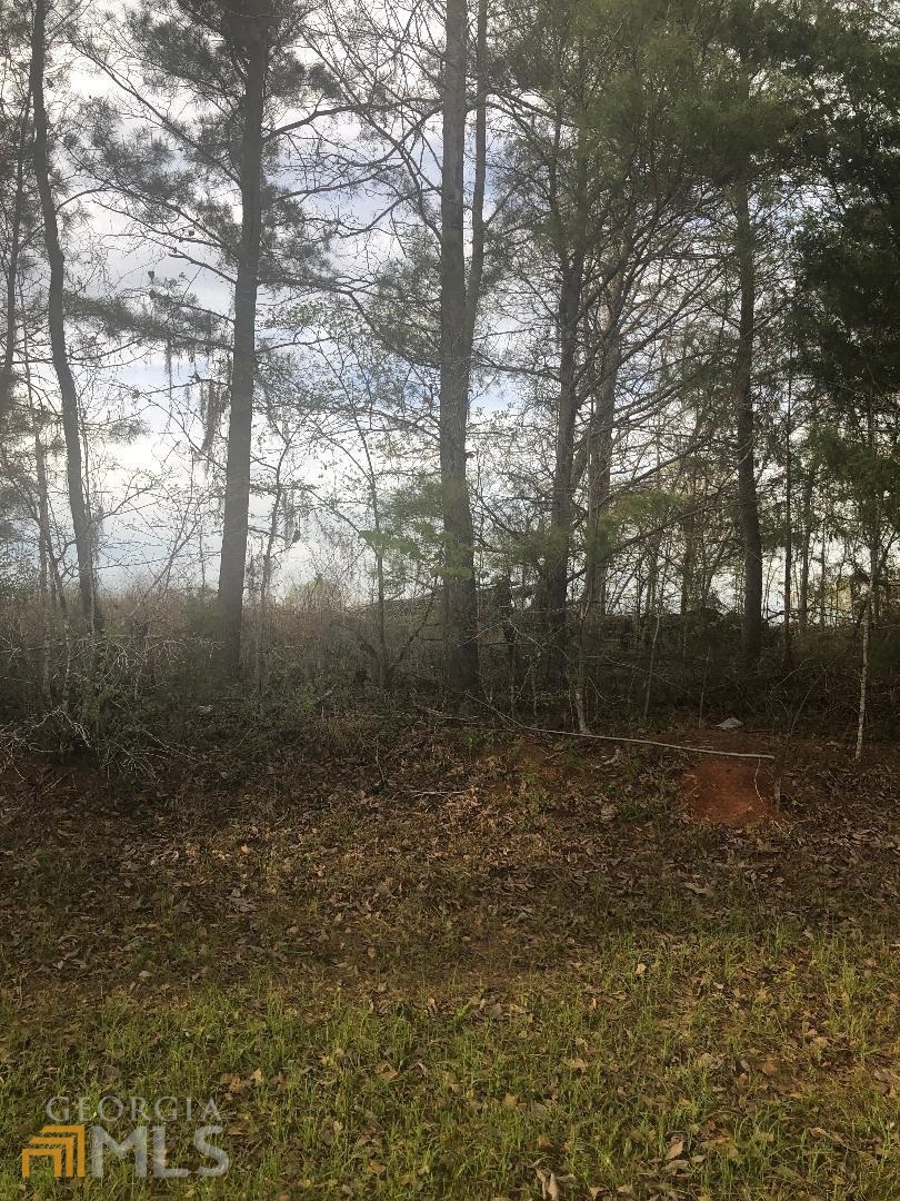 0 Crabapple Drive Property Photo 1