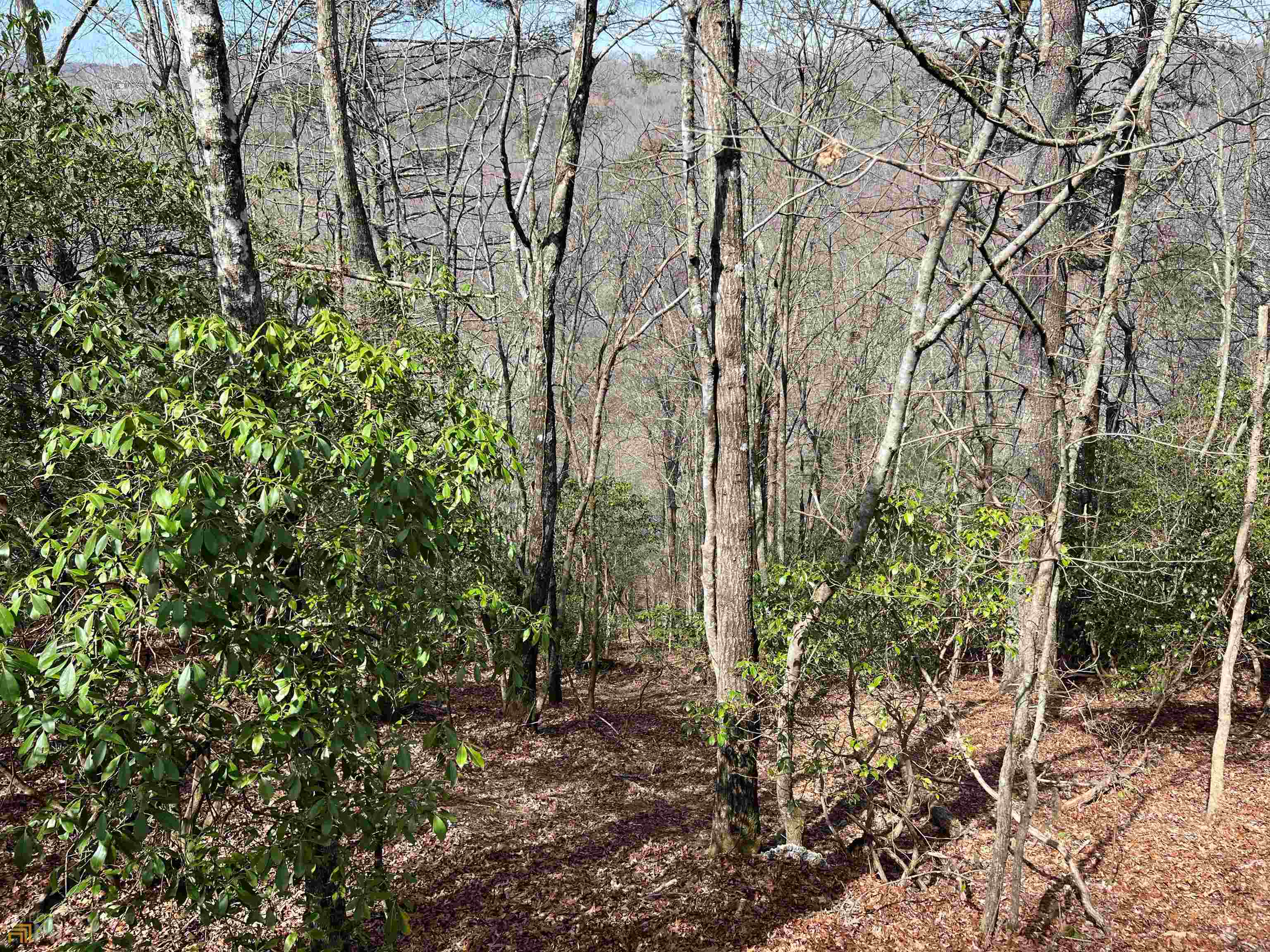 0 Cross Creek Road Property Photo 4