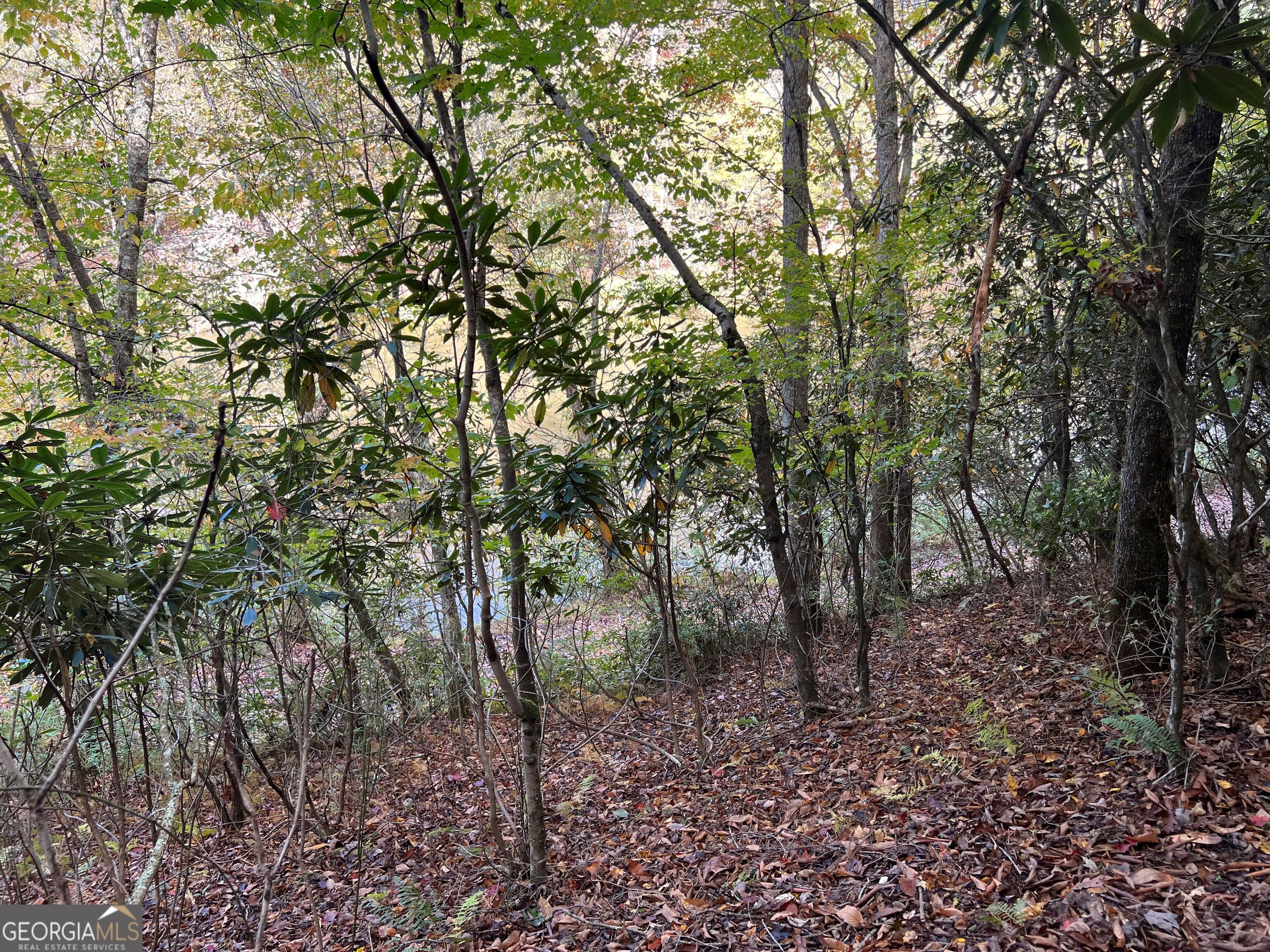 0 Cross Creek Road Property Photo 17