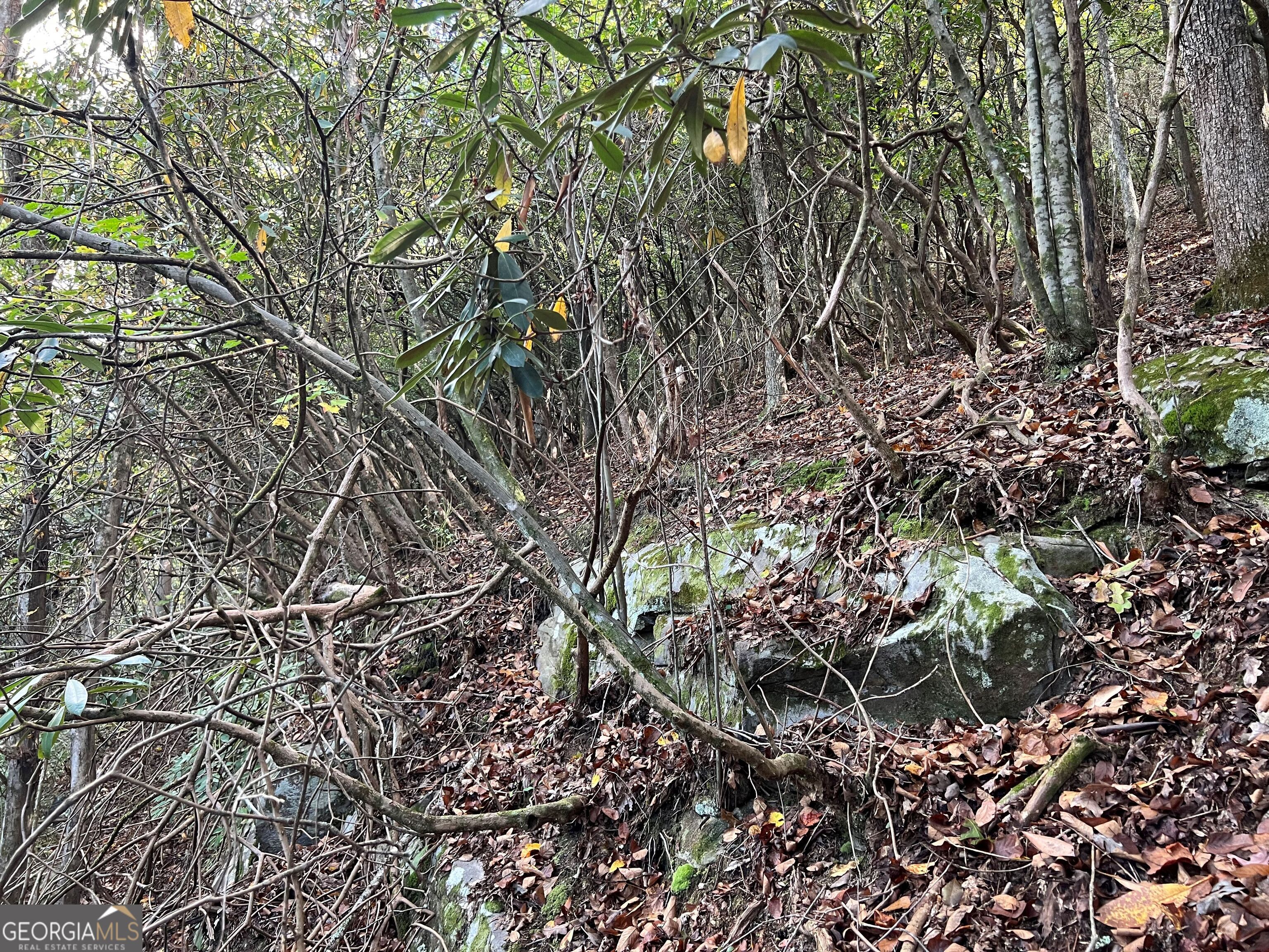 0 Cross Creek Road Property Photo 18