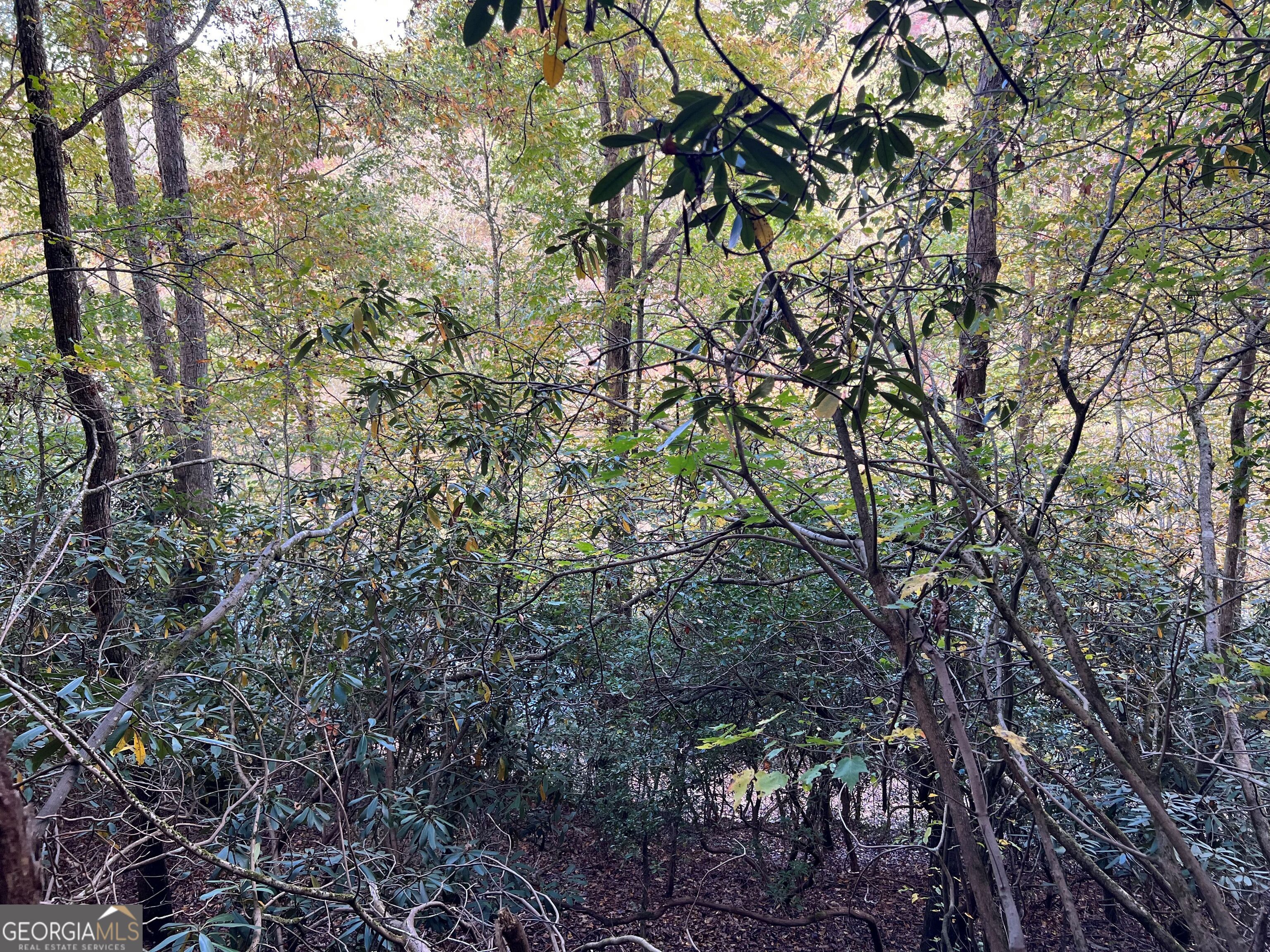 0 Cross Creek Road Property Photo 19
