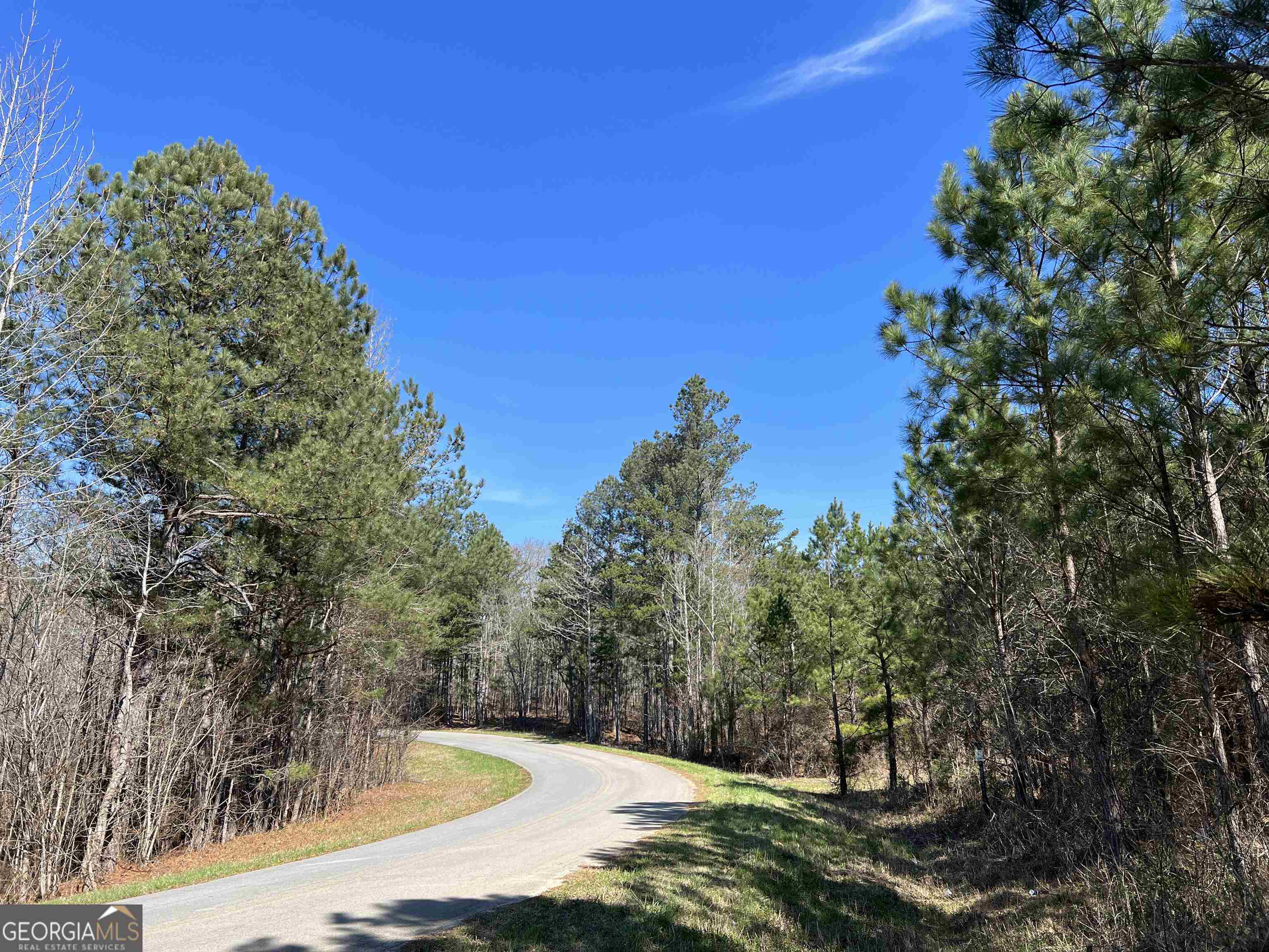 00 Susie Pope Road Property Photo 1