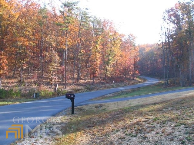 0 Autumnwood Drive Property Photo 1