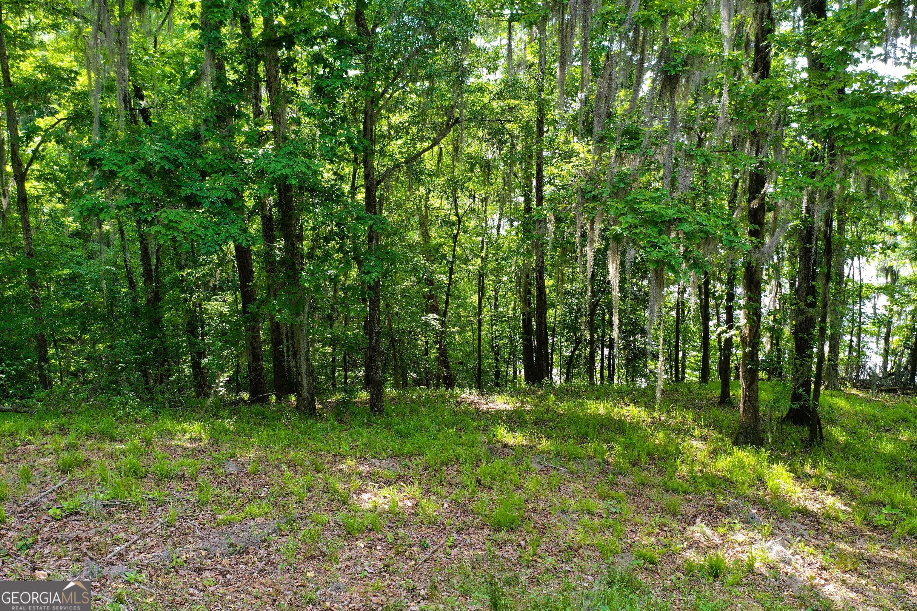 0 Watson Spur Road Property Photo 17