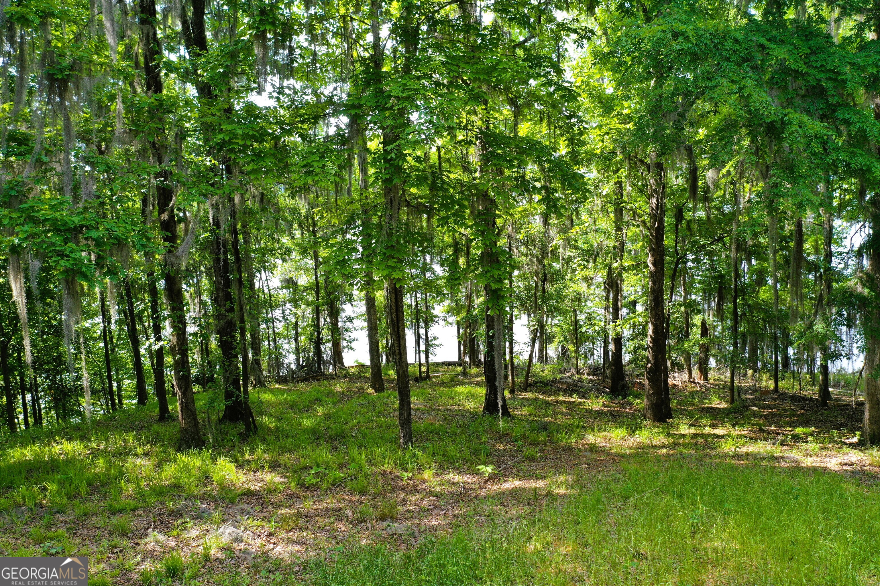 0 Watson Spur Road Property Photo 18
