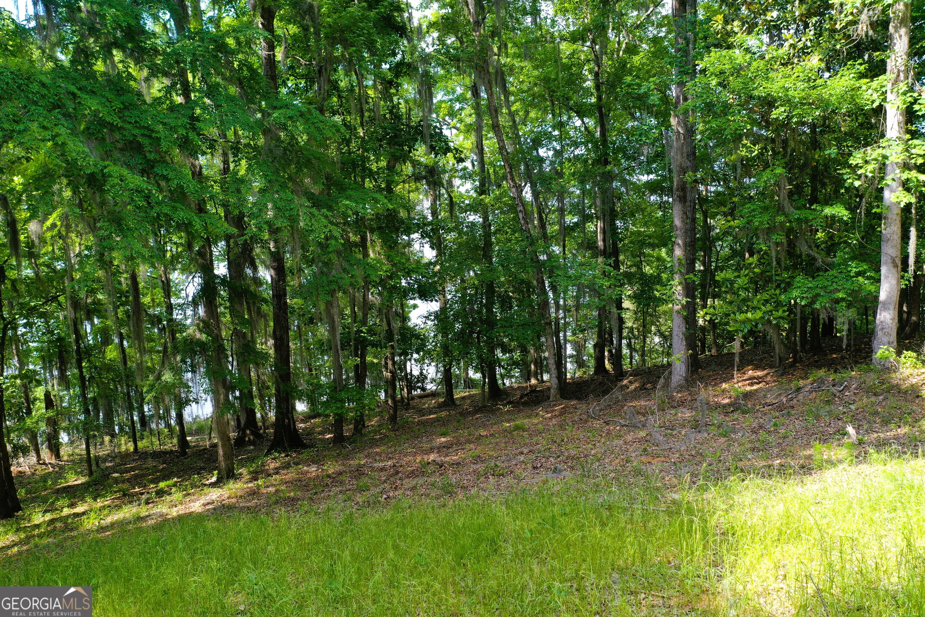 0 Watson Spur Road Property Photo 19