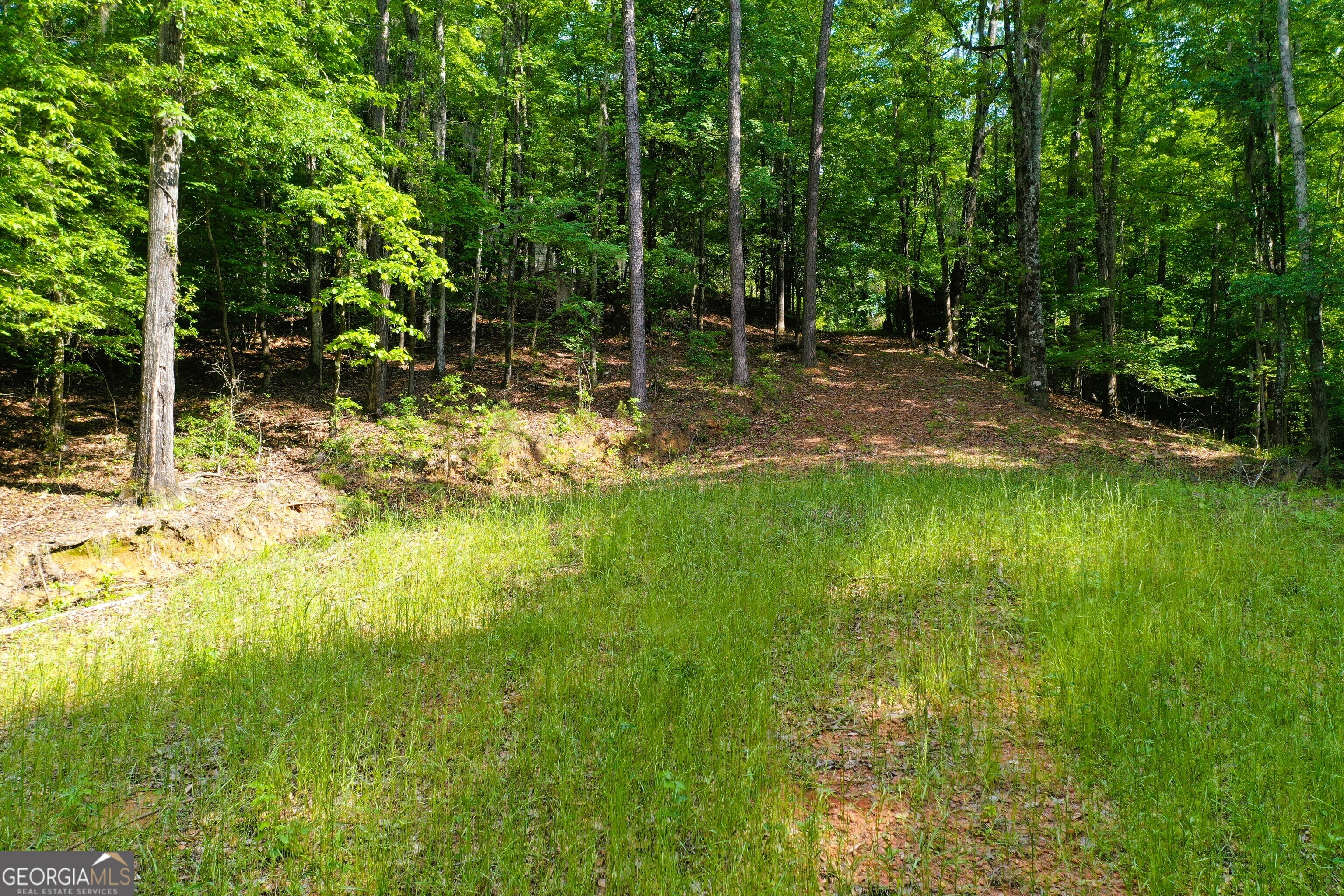 0 Watson Spur Road Property Photo 20