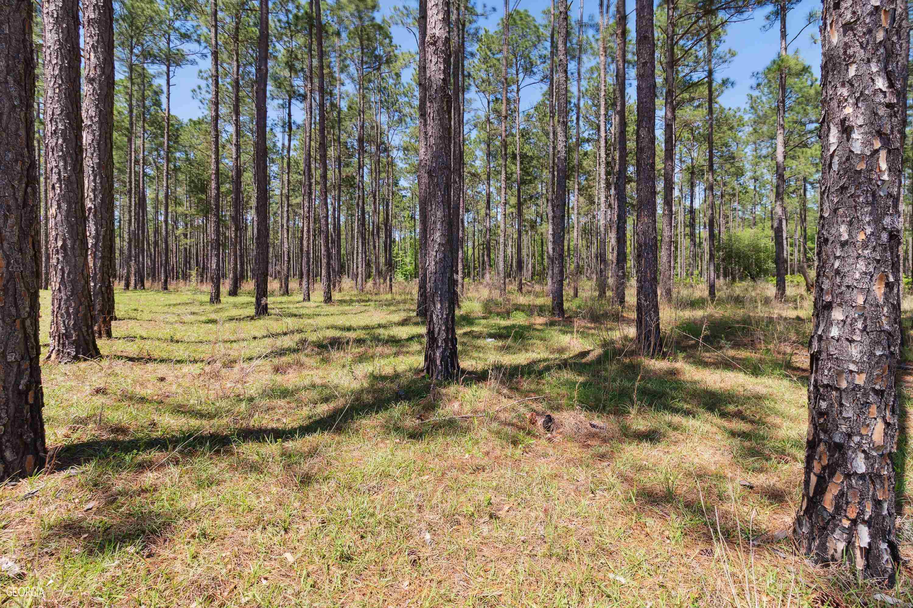 16299 Ga Hwy 46 Property Photo 29