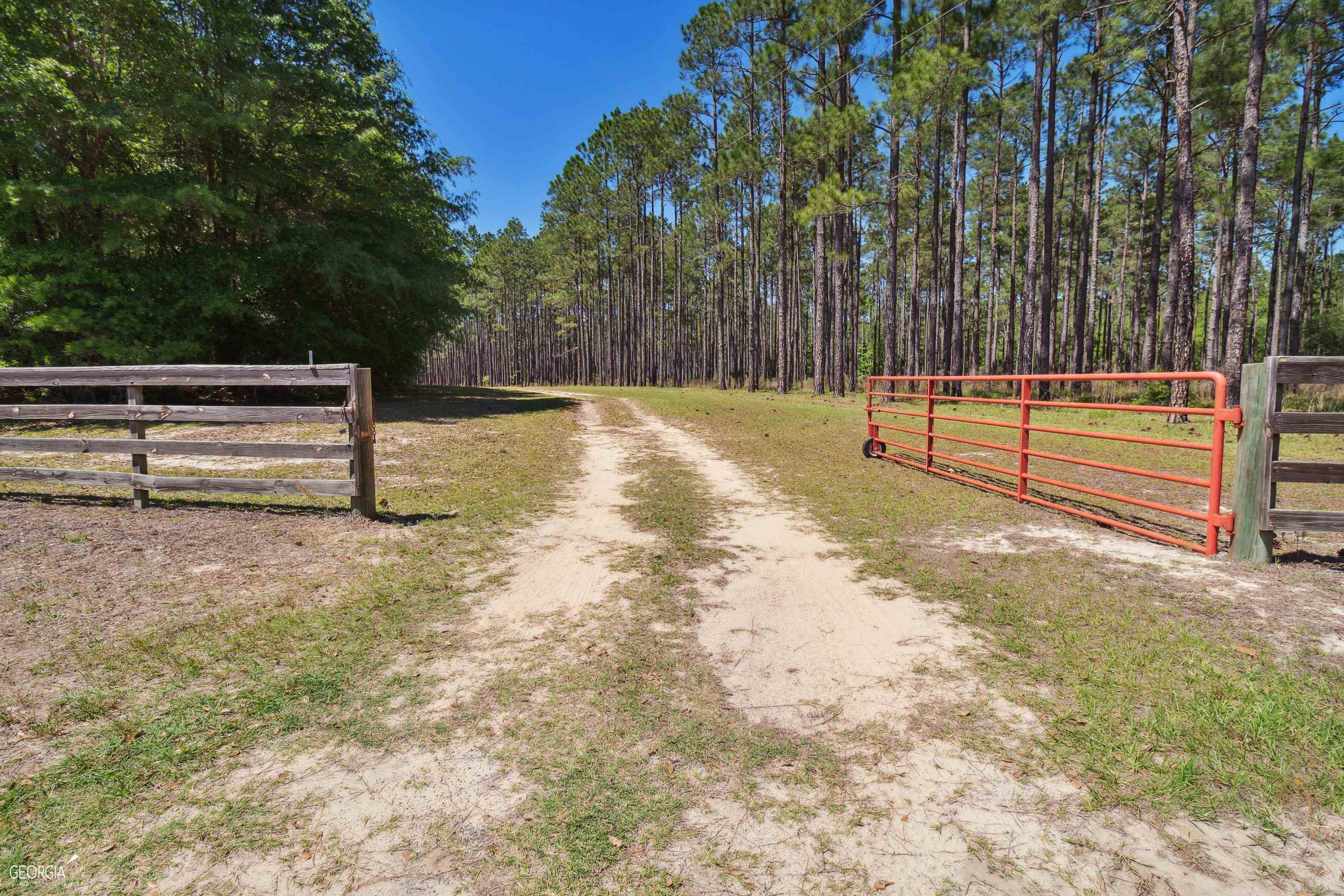 16299 Ga Hwy 46 Property Photo 30