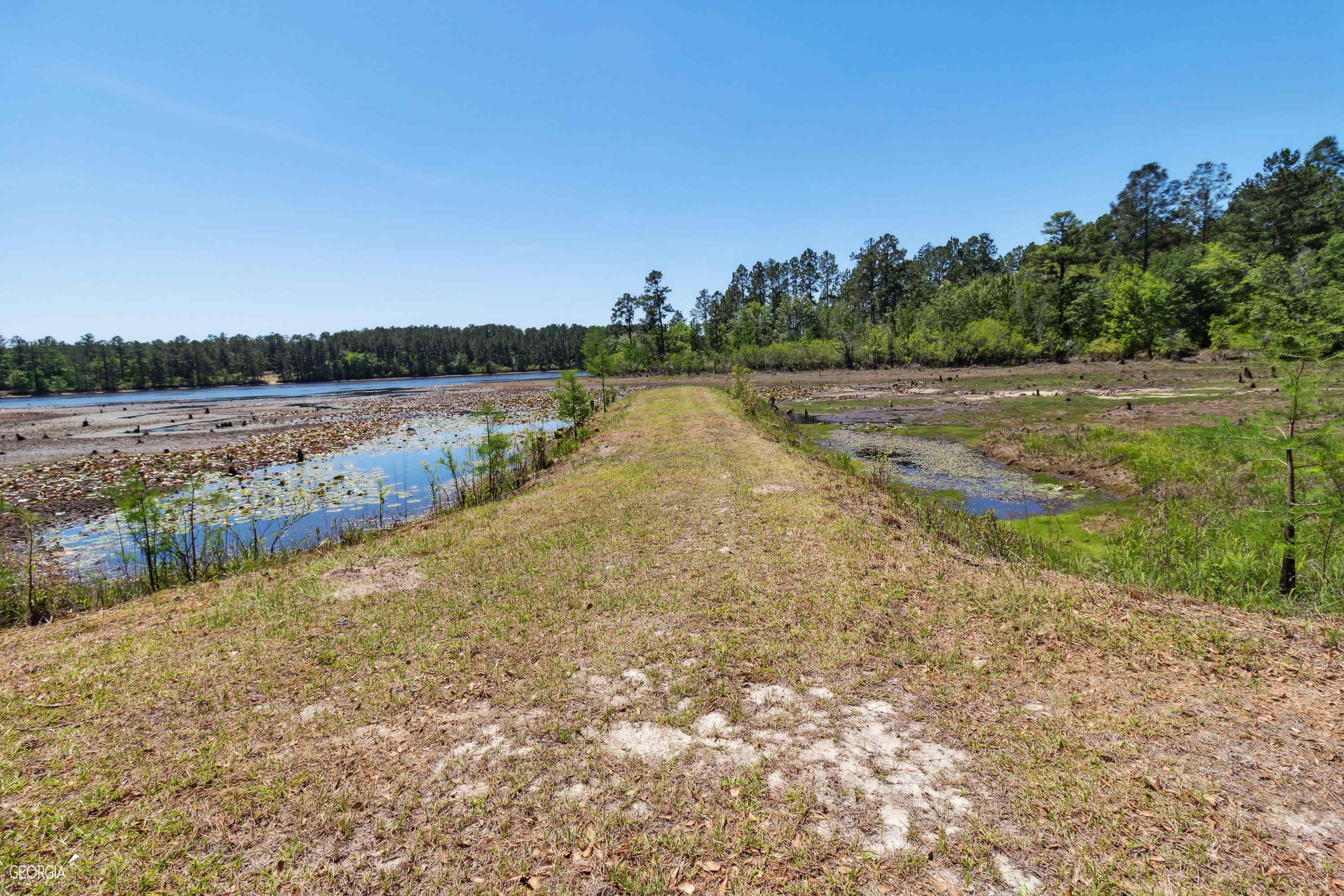 16299 Ga Hwy 46 Property Photo 31