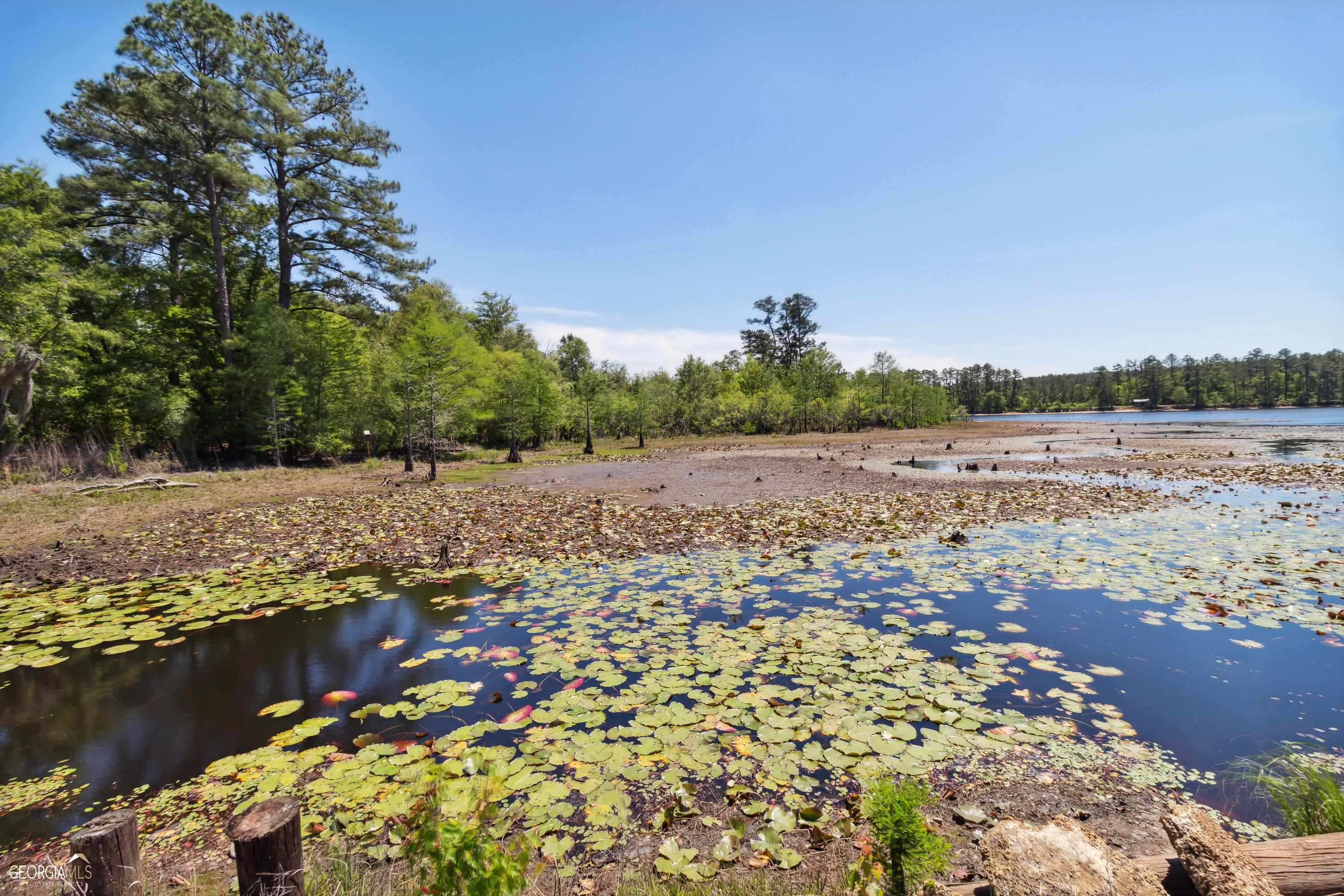 16299 Ga Hwy 46 Property Photo 32