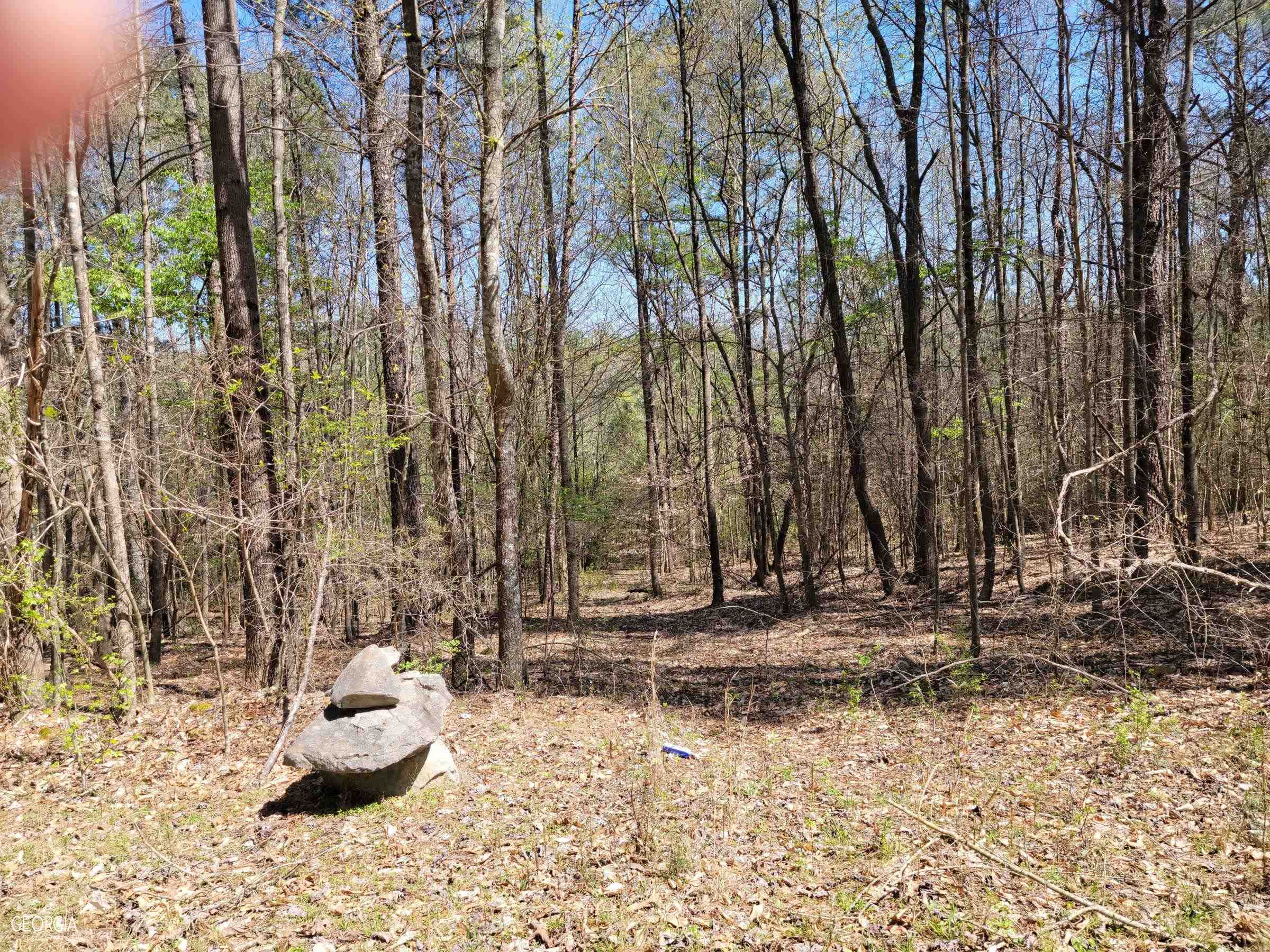 0 Sand Pit Road Property Photo 5