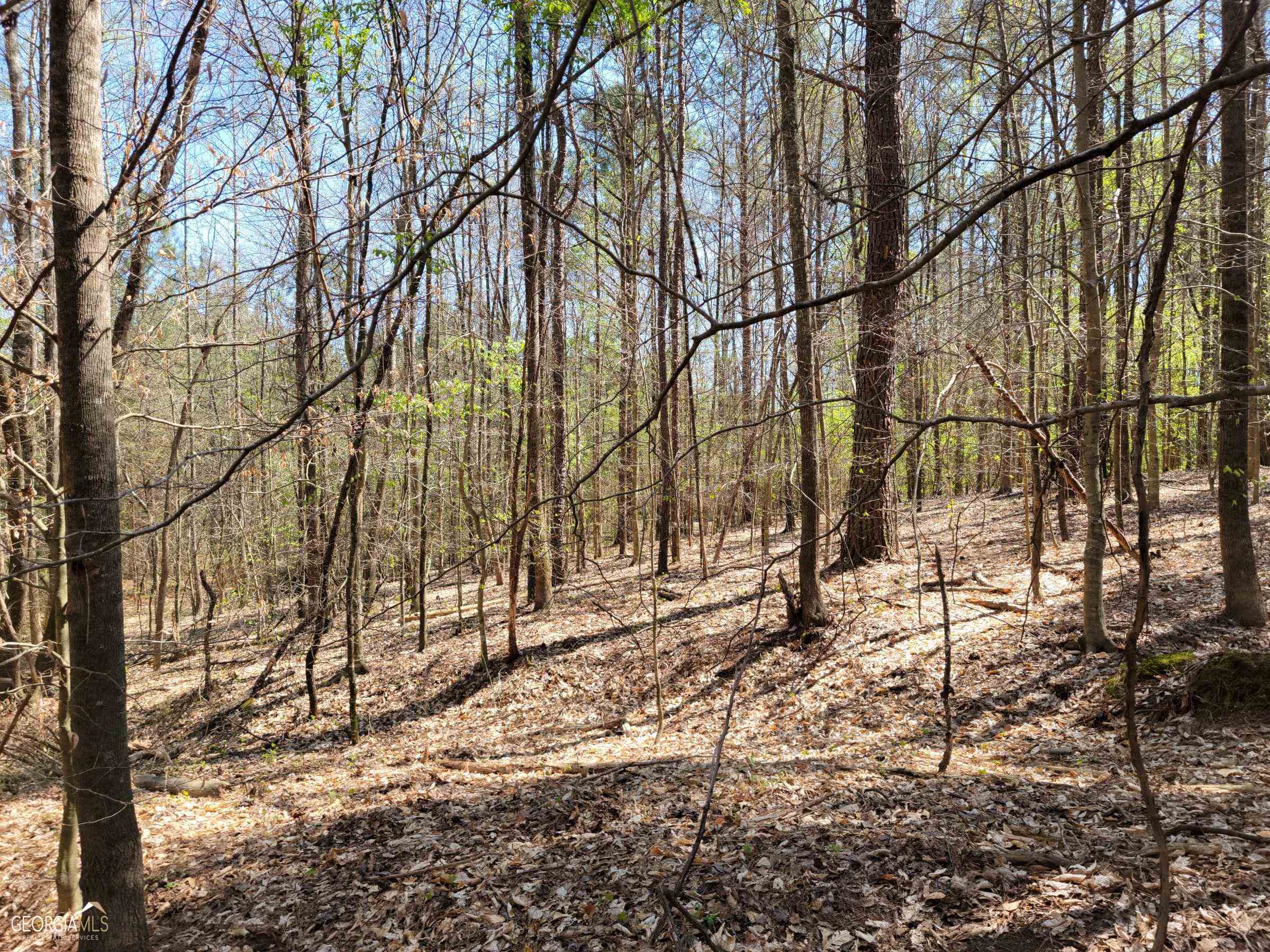 0 Sand Pit Road Property Photo 6