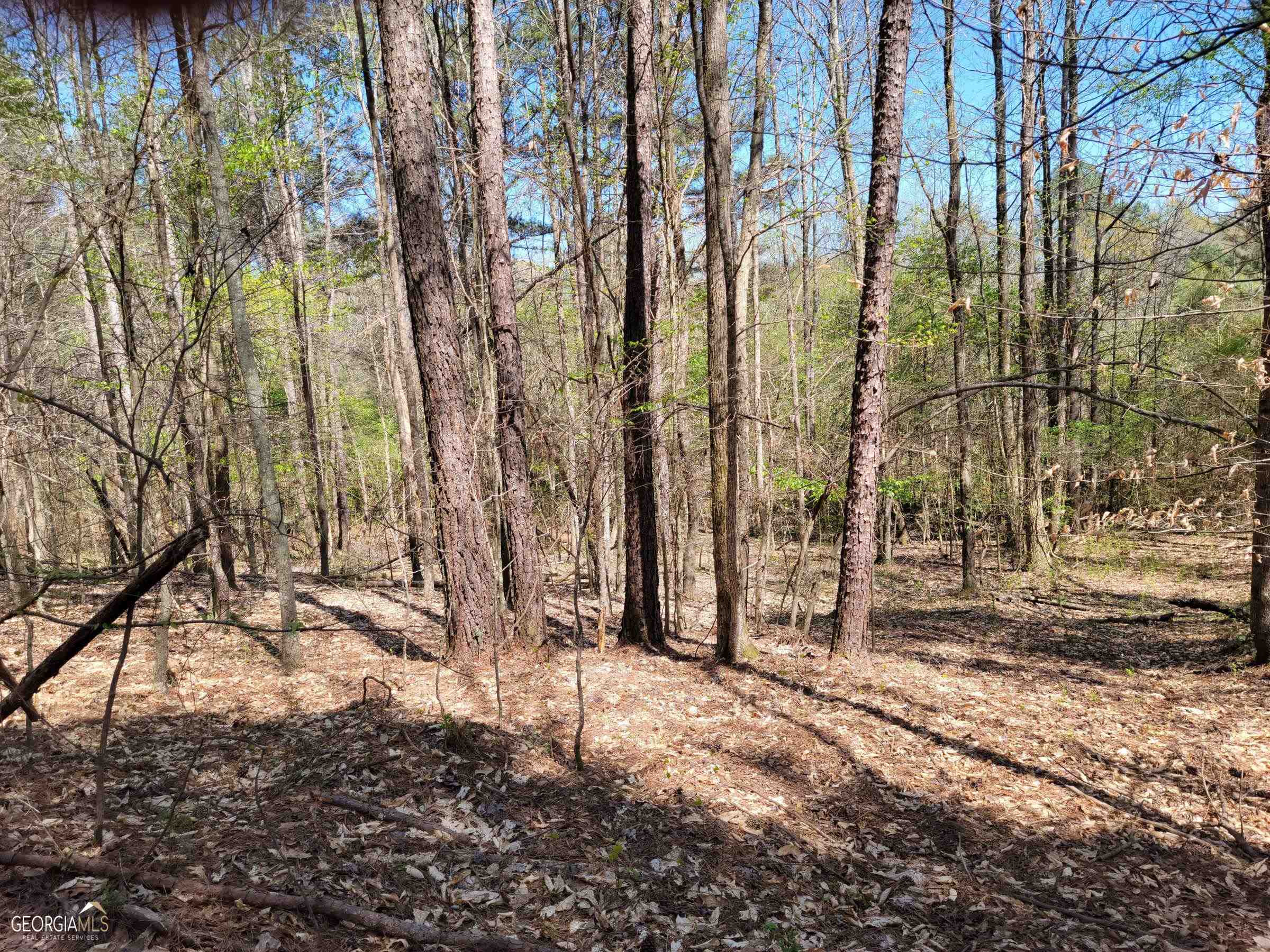 0 Sand Pit Road Property Photo 7