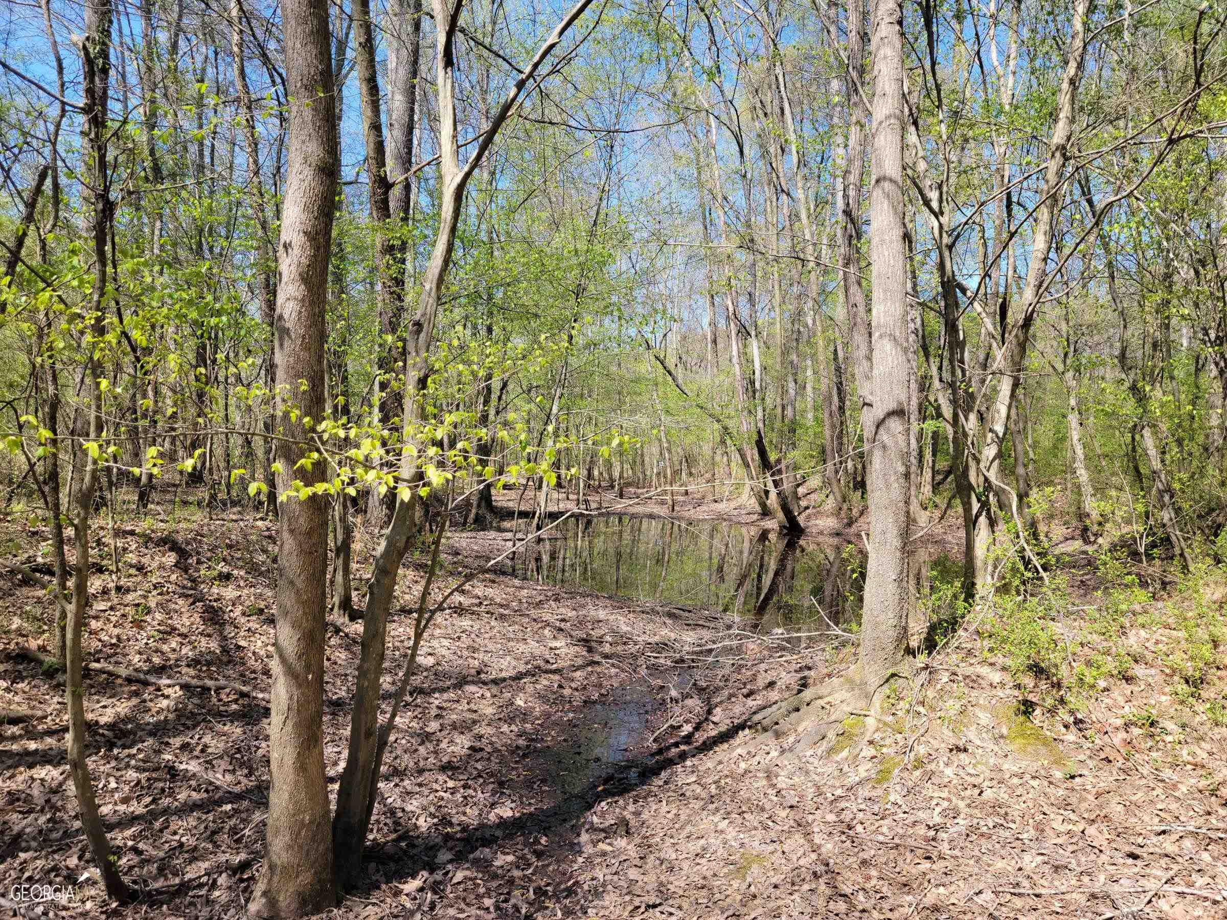 0 Sand Pit Road Property Photo 12