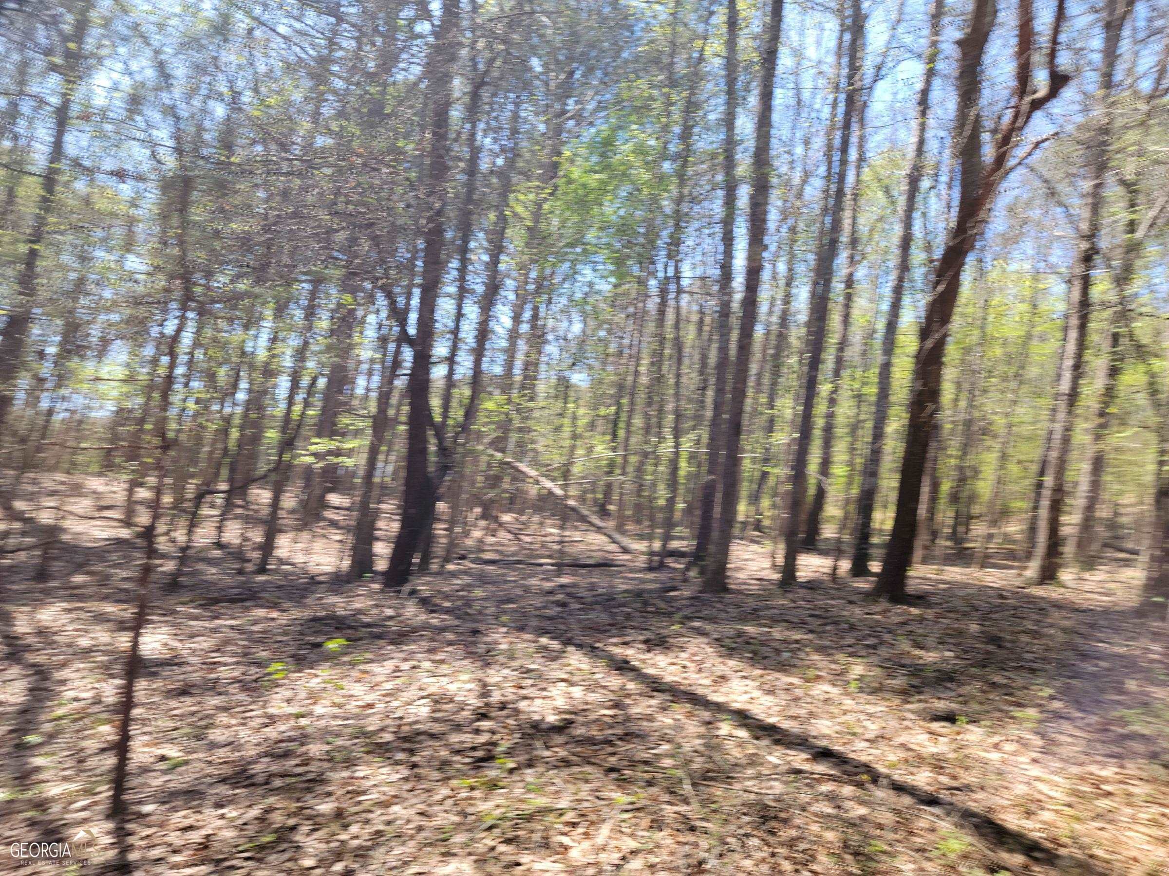 0 Sand Pit Road Property Photo 14