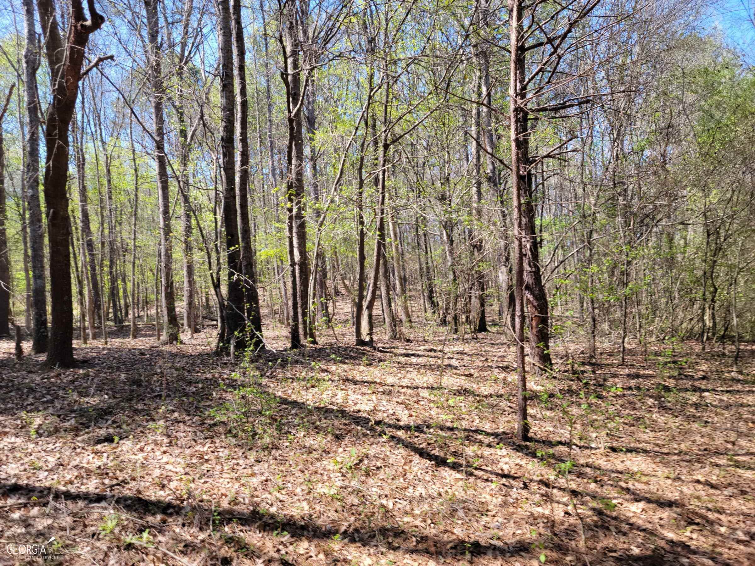 0 Sand Pit Road Property Photo 15