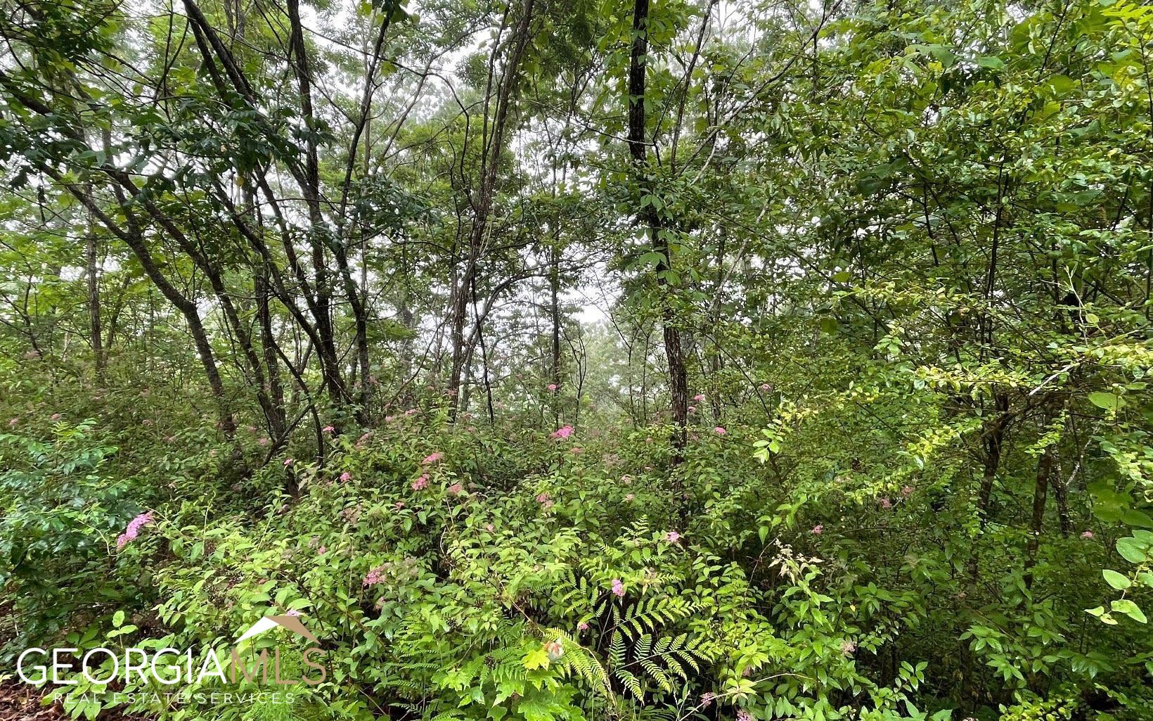 Lot 7 Trillium Heights Property Photo 8