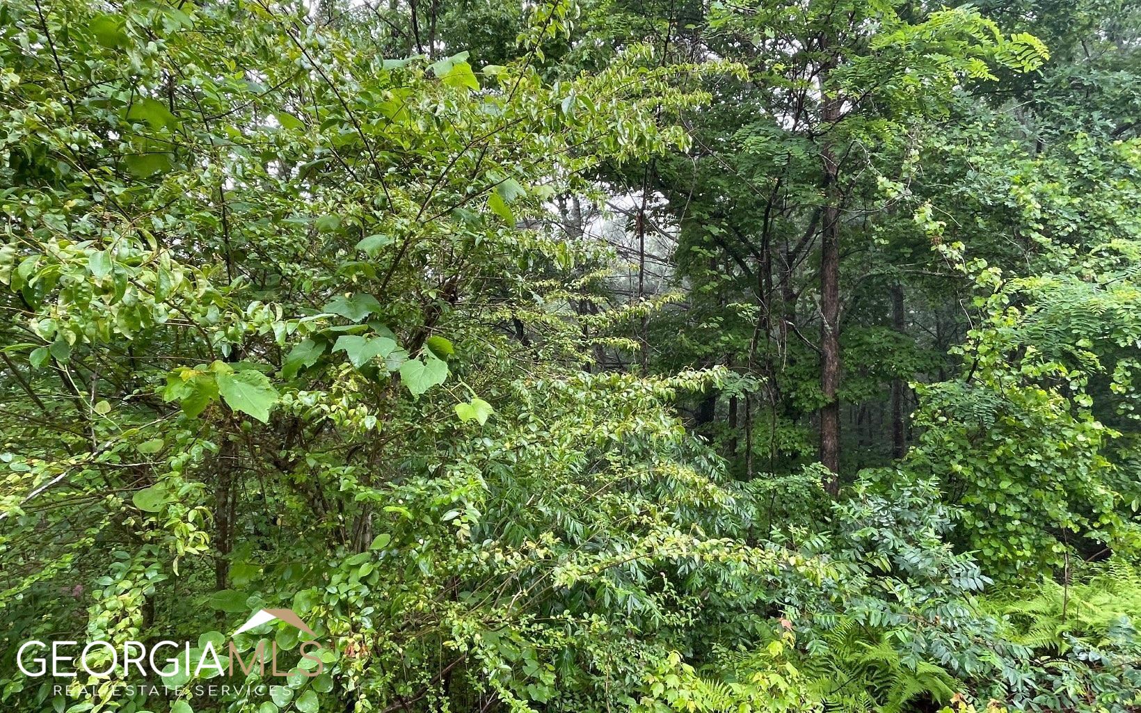 Lot 7 Trillium Heights Property Photo 9