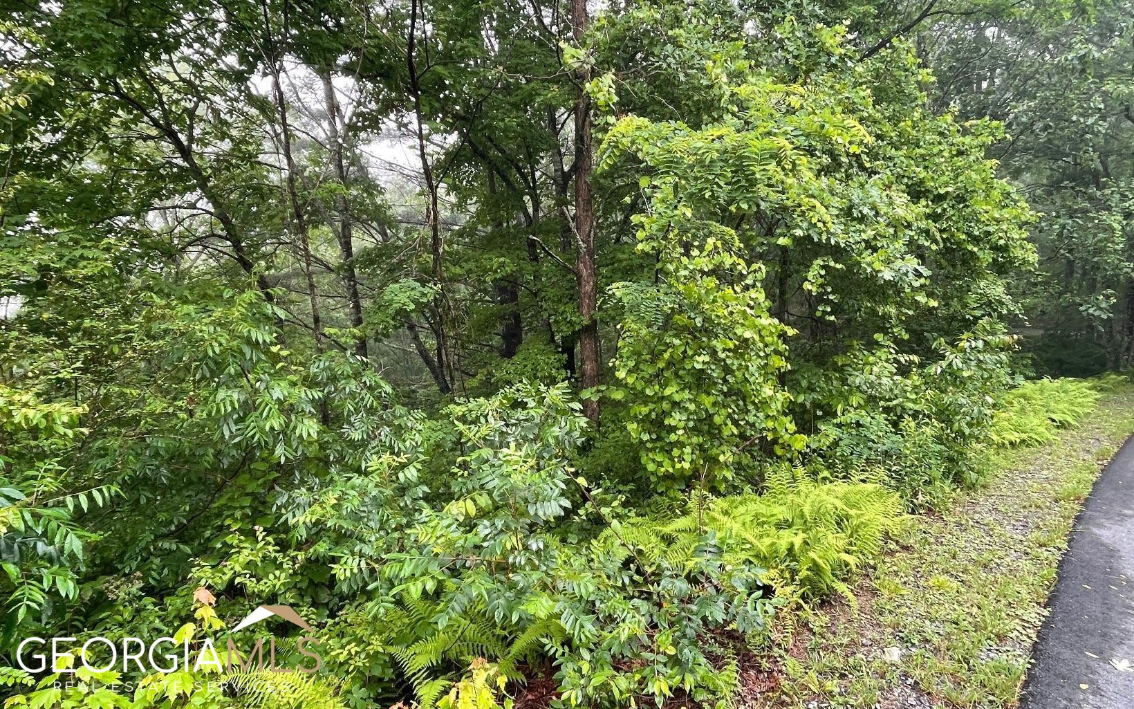Lot 7 Trillium Heights Property Photo 10