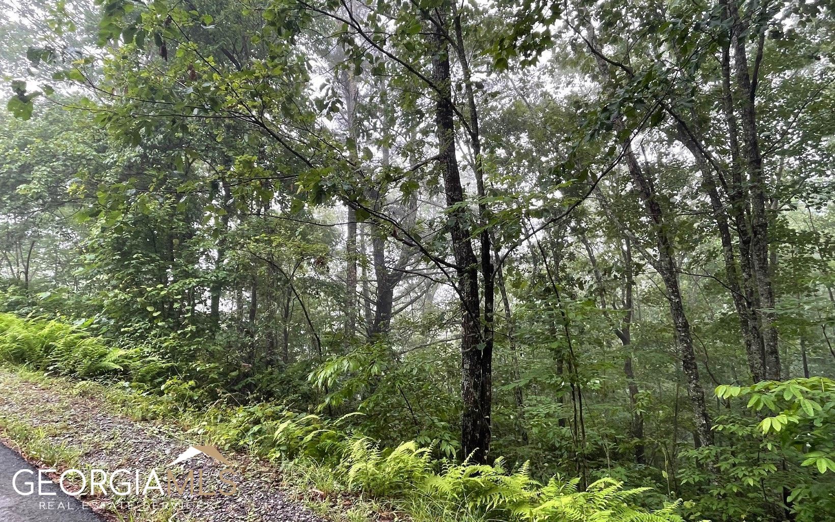 Lot 7 Trillium Heights Property Photo 12