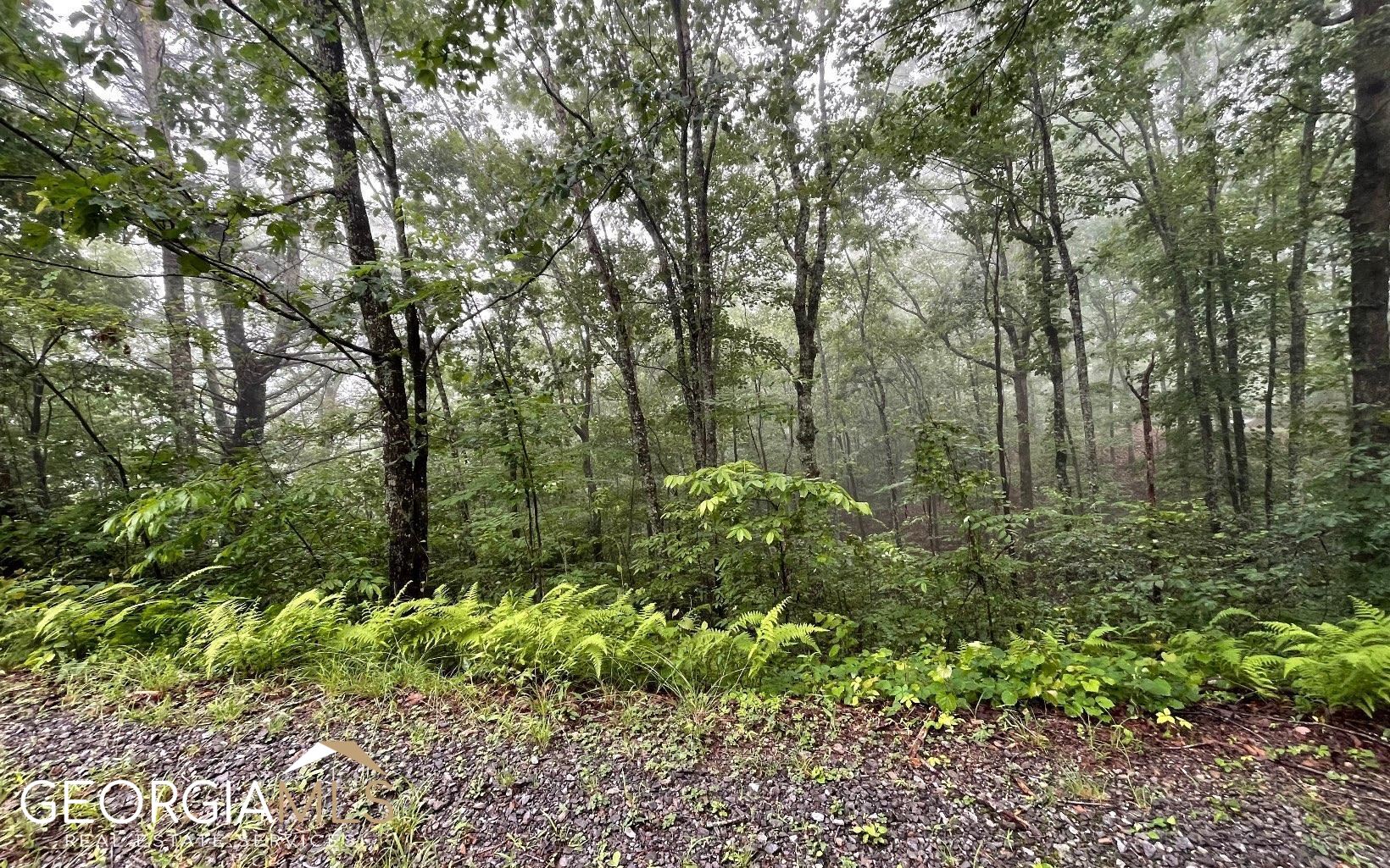 Lot 7 Trillium Heights Property Photo 13