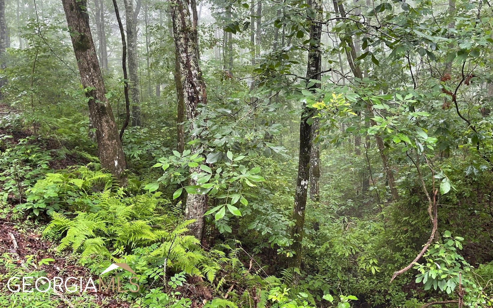 Lot 7 Trillium Heights Property Photo 16