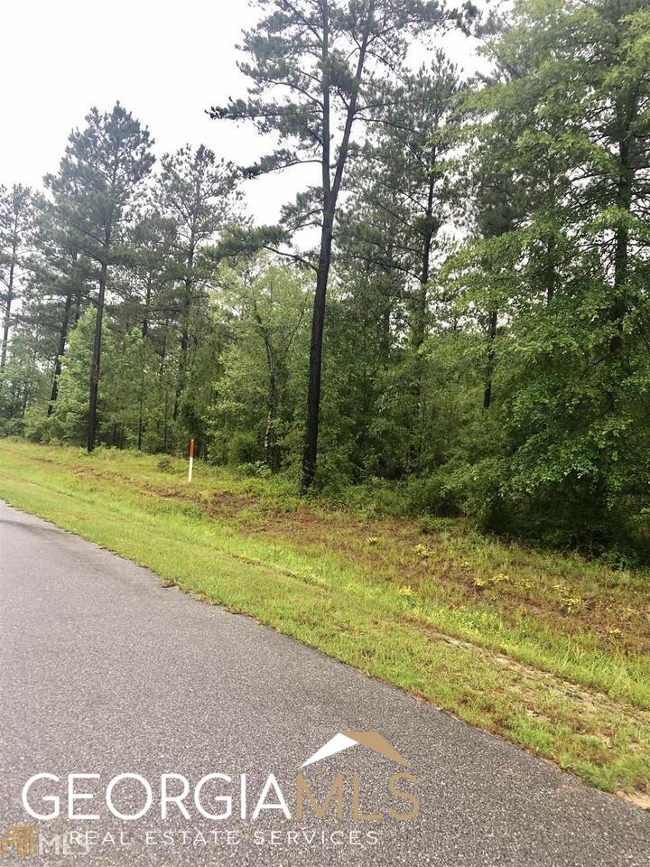0 Apalachicola Trail Lot 41 Property Photo 2