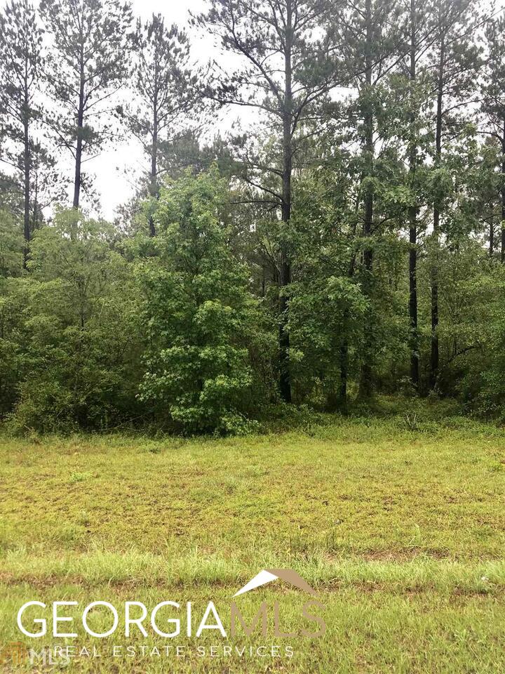 0 Apalachicola Trail Lot 41 Property Photo 6
