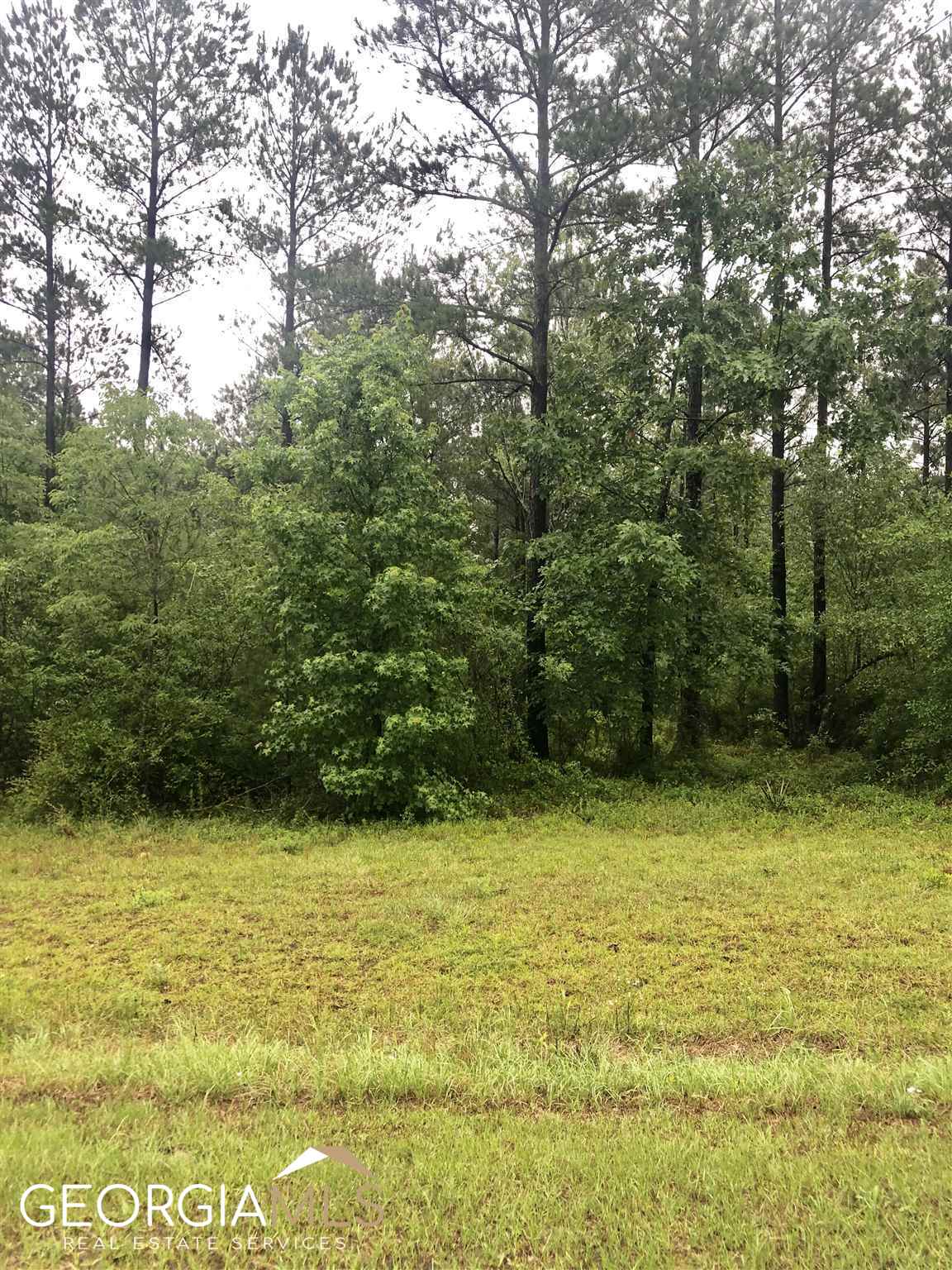 0 Creek Indian Trail Lot 73 Property Photo 6