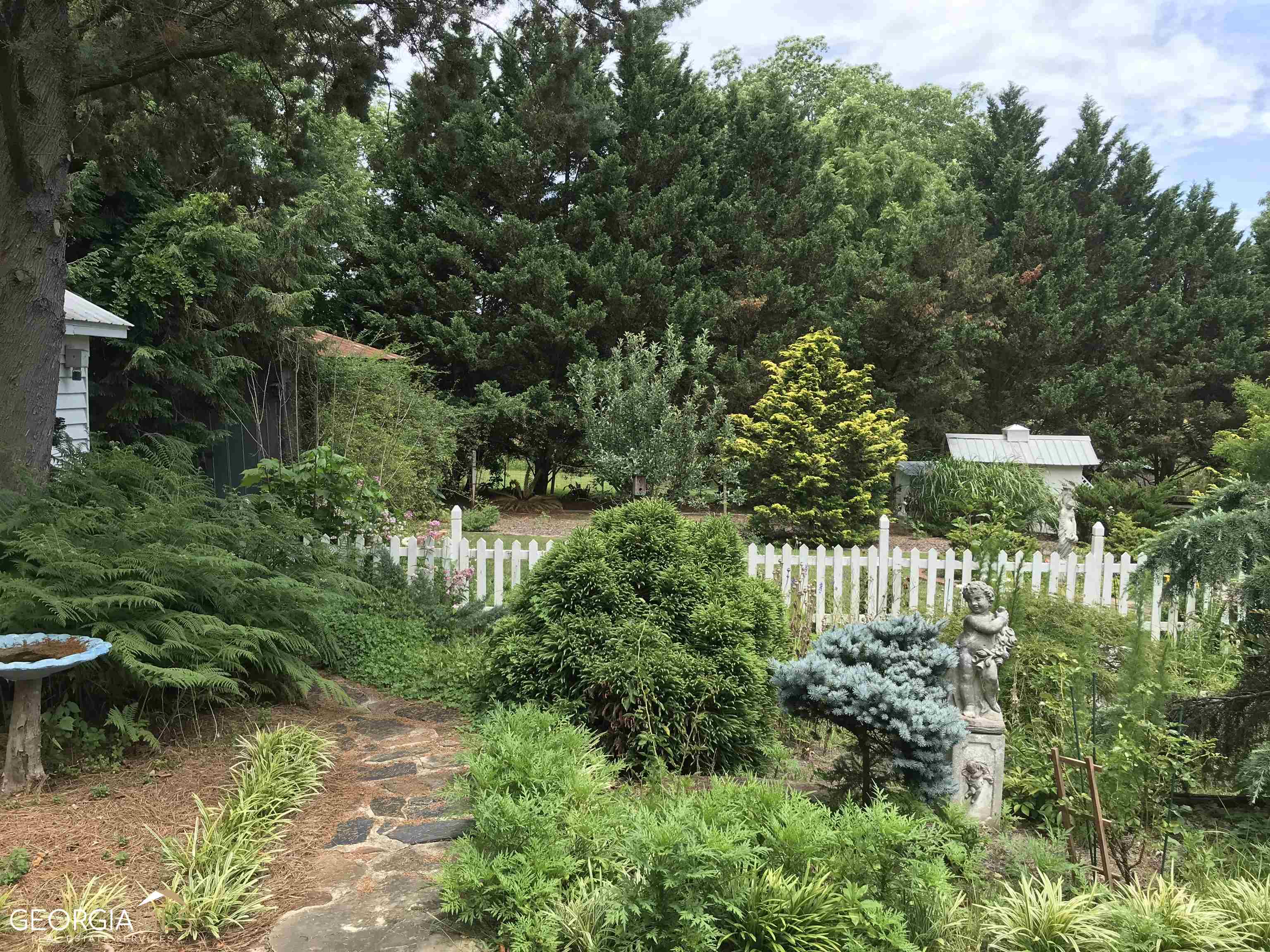 46 Homer Street Property Photo 41
