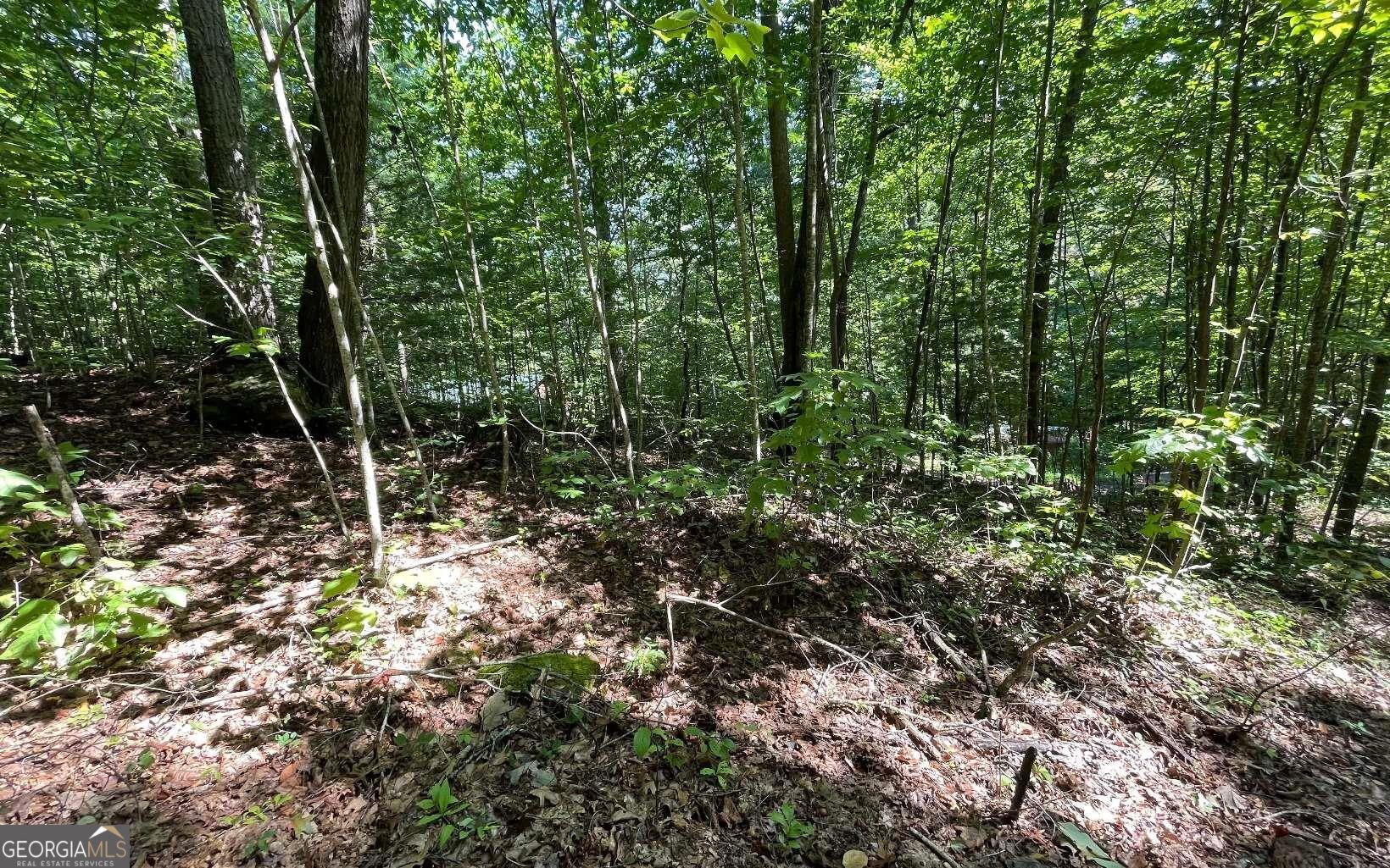 Lot 8d Eagle Heights Property Photo 1