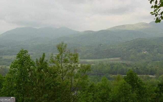 #50 Harris Ridge Road Property Photo 3