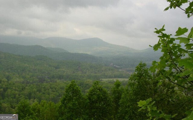 #50 Harris Ridge Road Property Photo 4