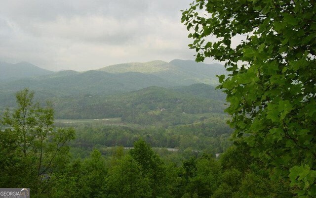 #50 Harris Ridge Road Property Photo 5
