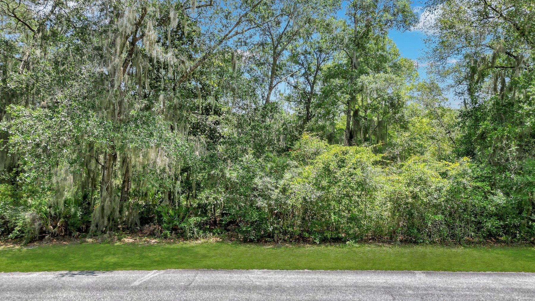 Lot 59 St Joseph's Point Property Photo 2