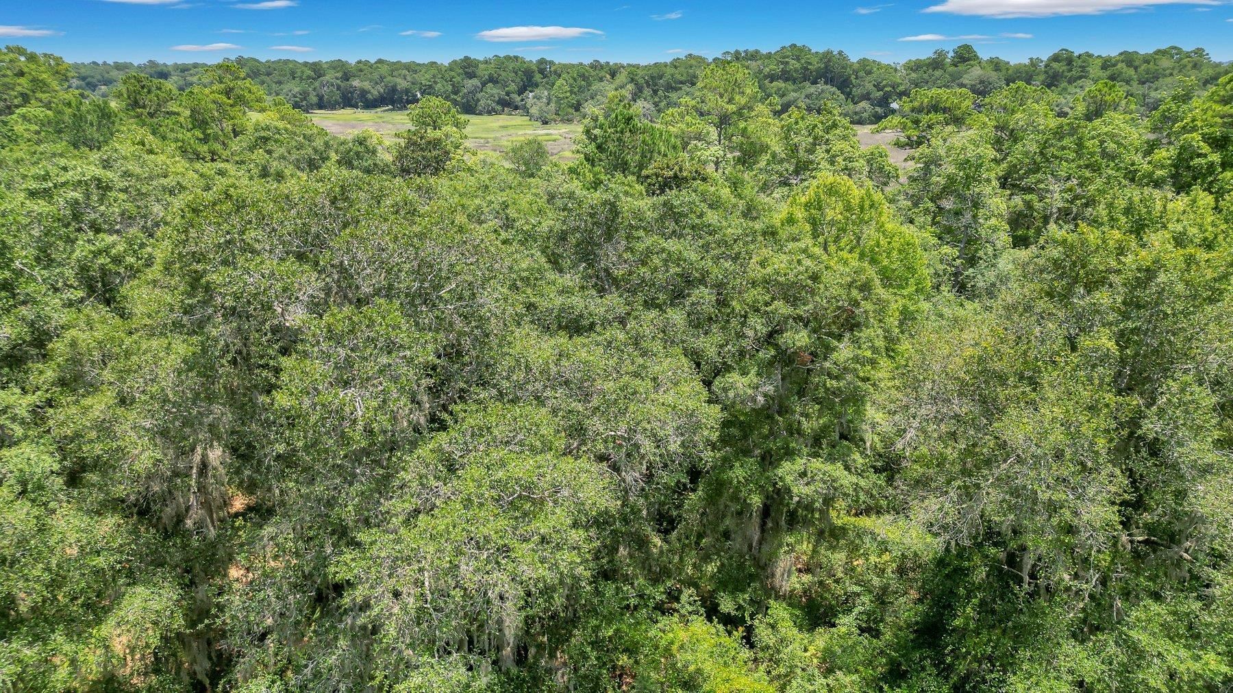 Lot 59 St Joseph's Point Property Photo 3