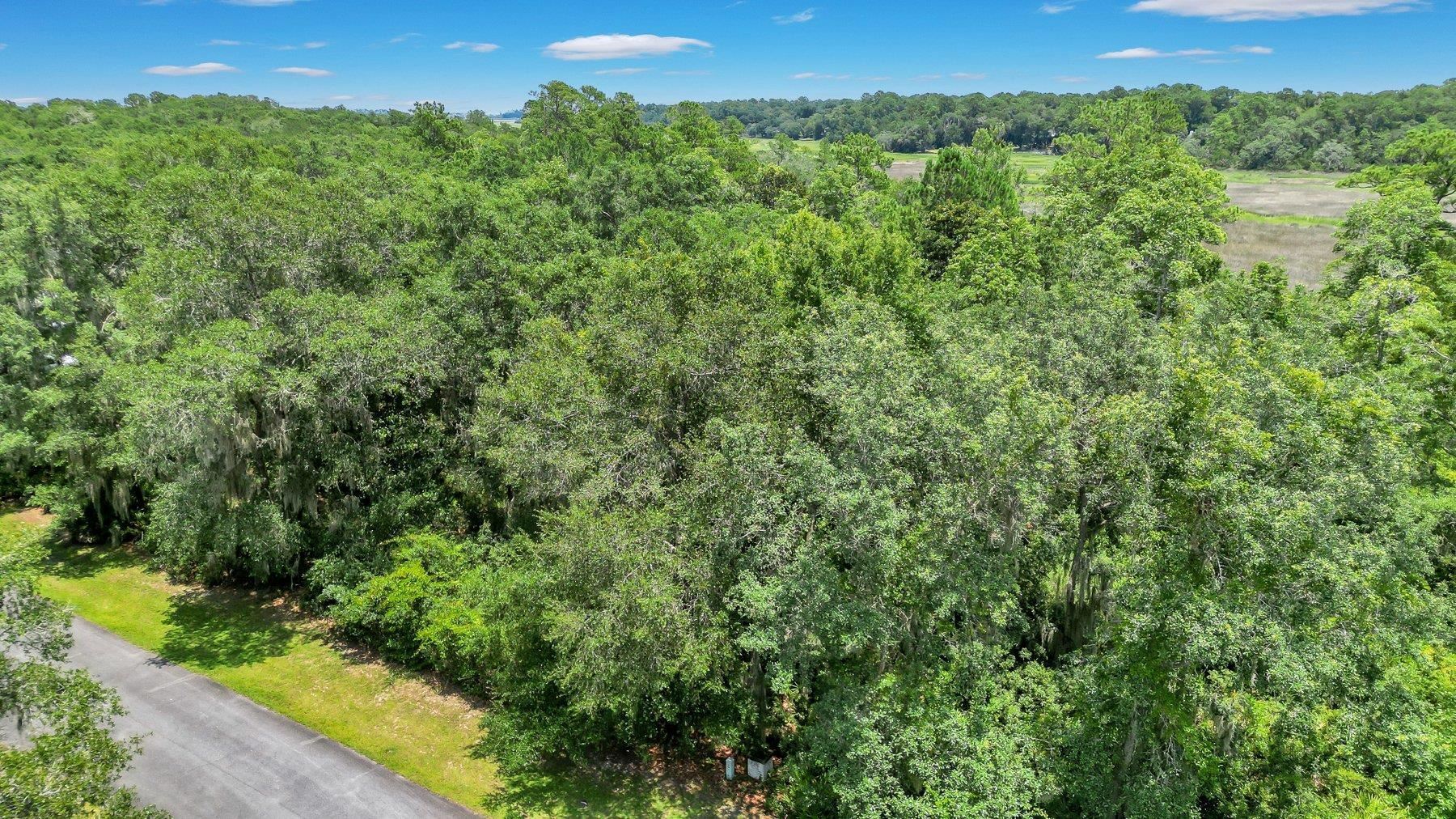Lot 59 St Joseph's Point Property Photo 4