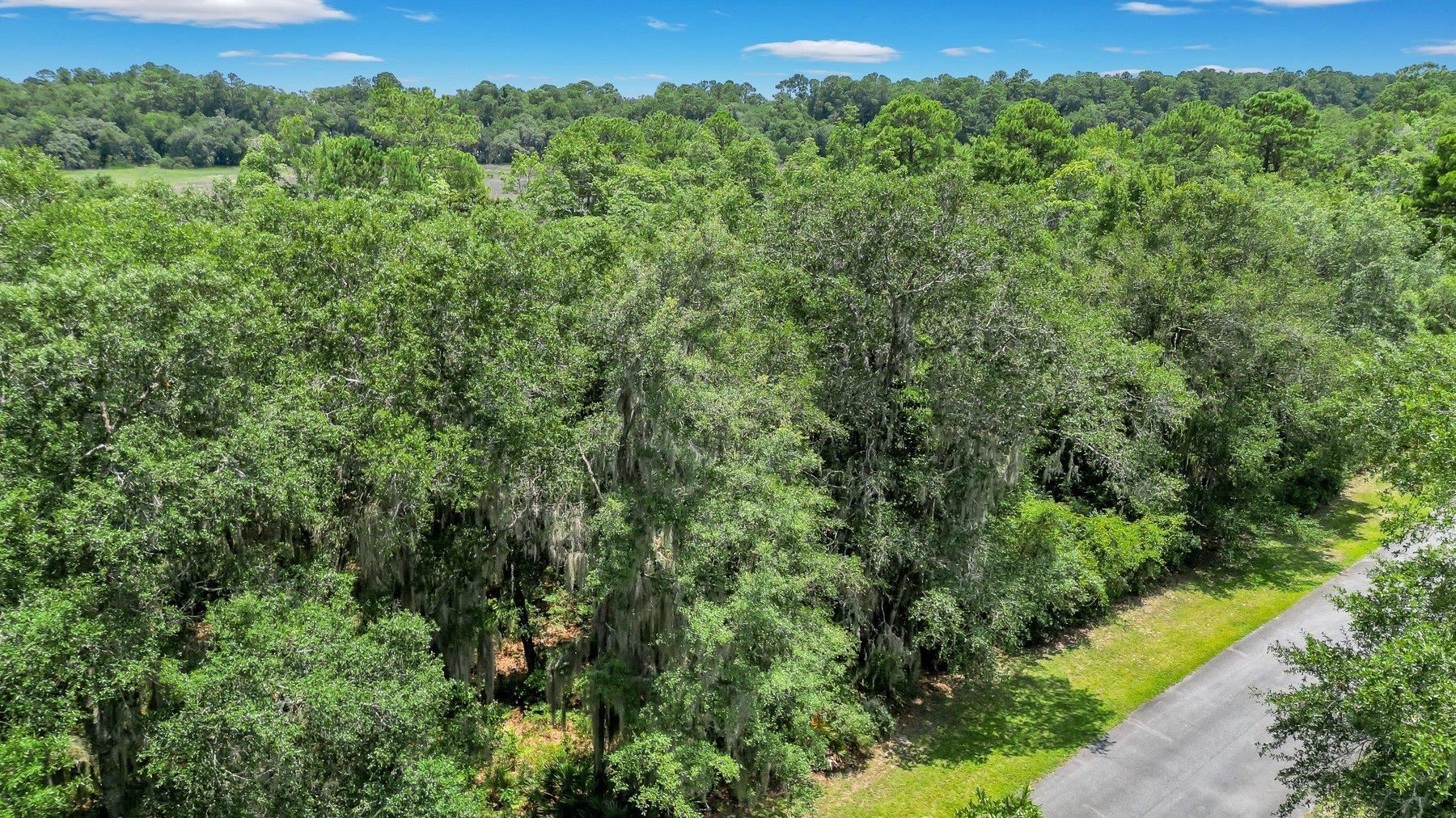 Lot 59 St Joseph's Point Property Photo 6