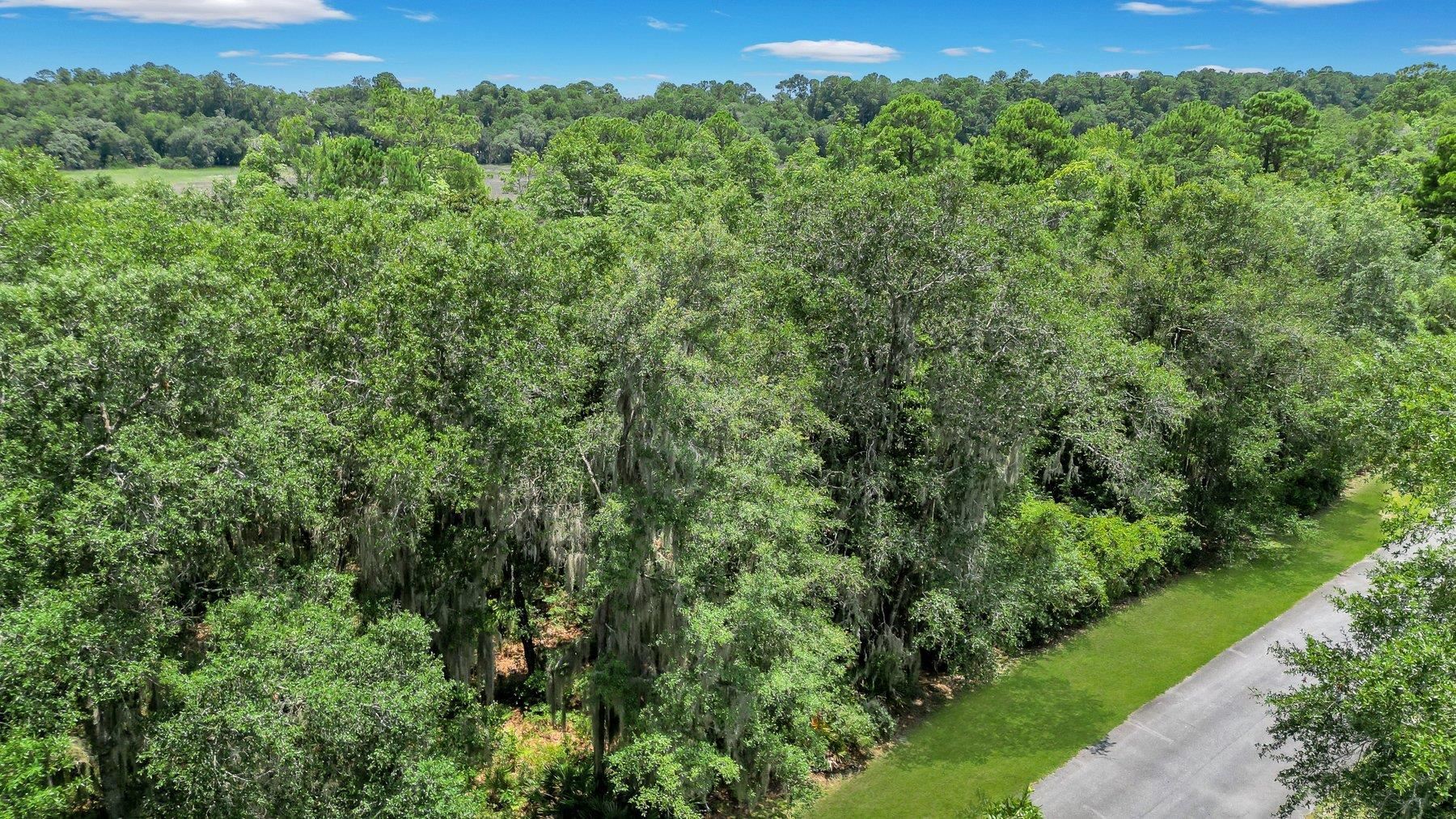Lot 59 St Joseph's Point Property Photo 7