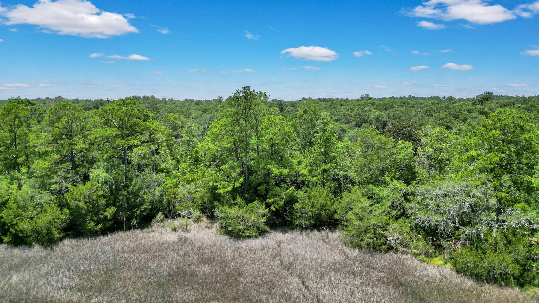 Lot 59 St Joseph's Point Property Photo 13