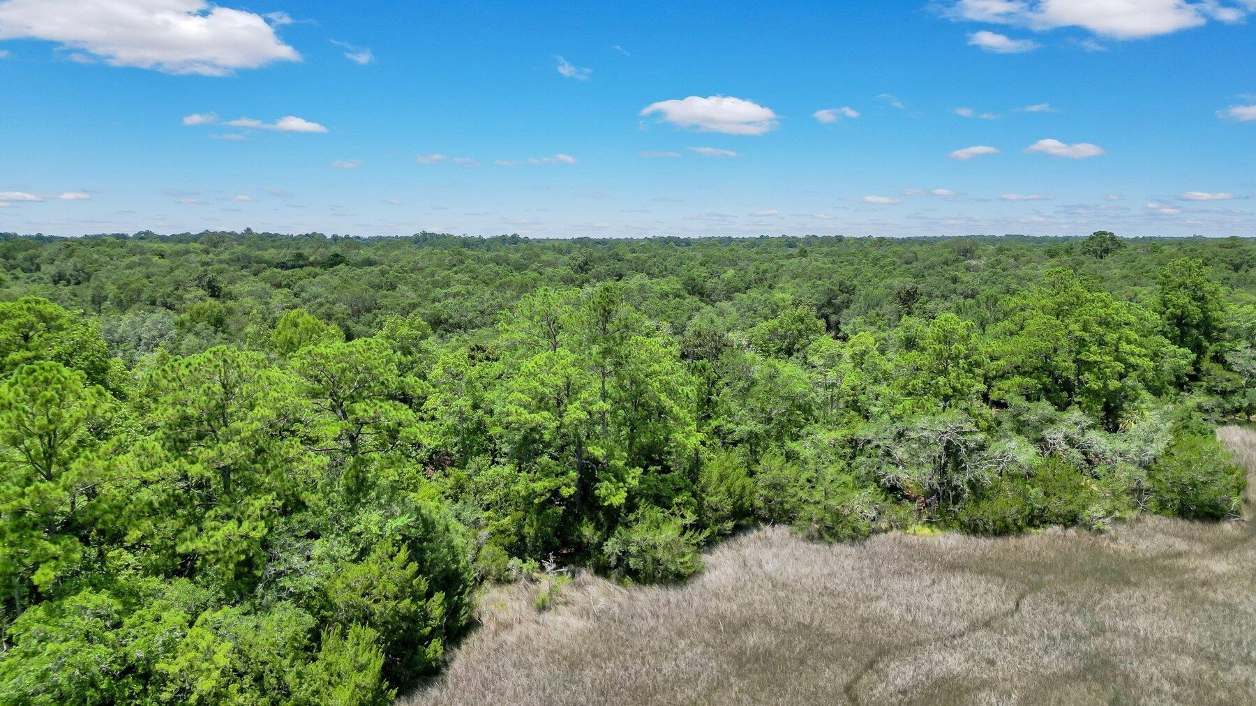 Lot 59 St Joseph's Point Property Photo 15