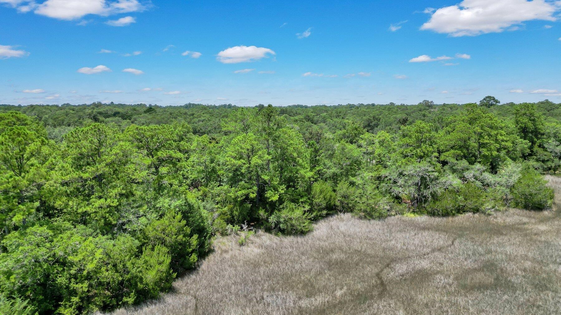 Lot 59 St Joseph's Point Property Photo 16
