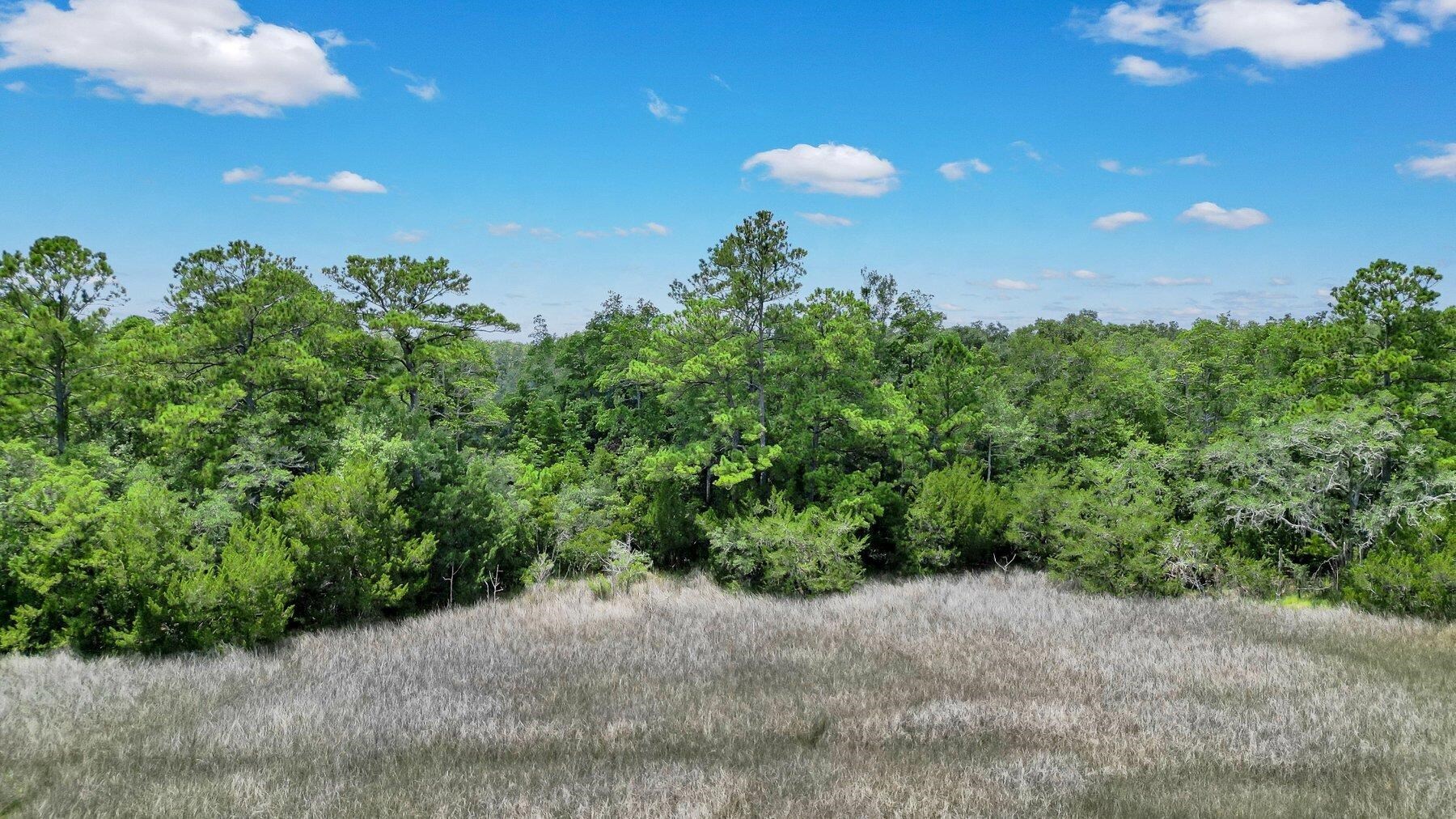 Lot 59 St Joseph's Point Property Photo 17