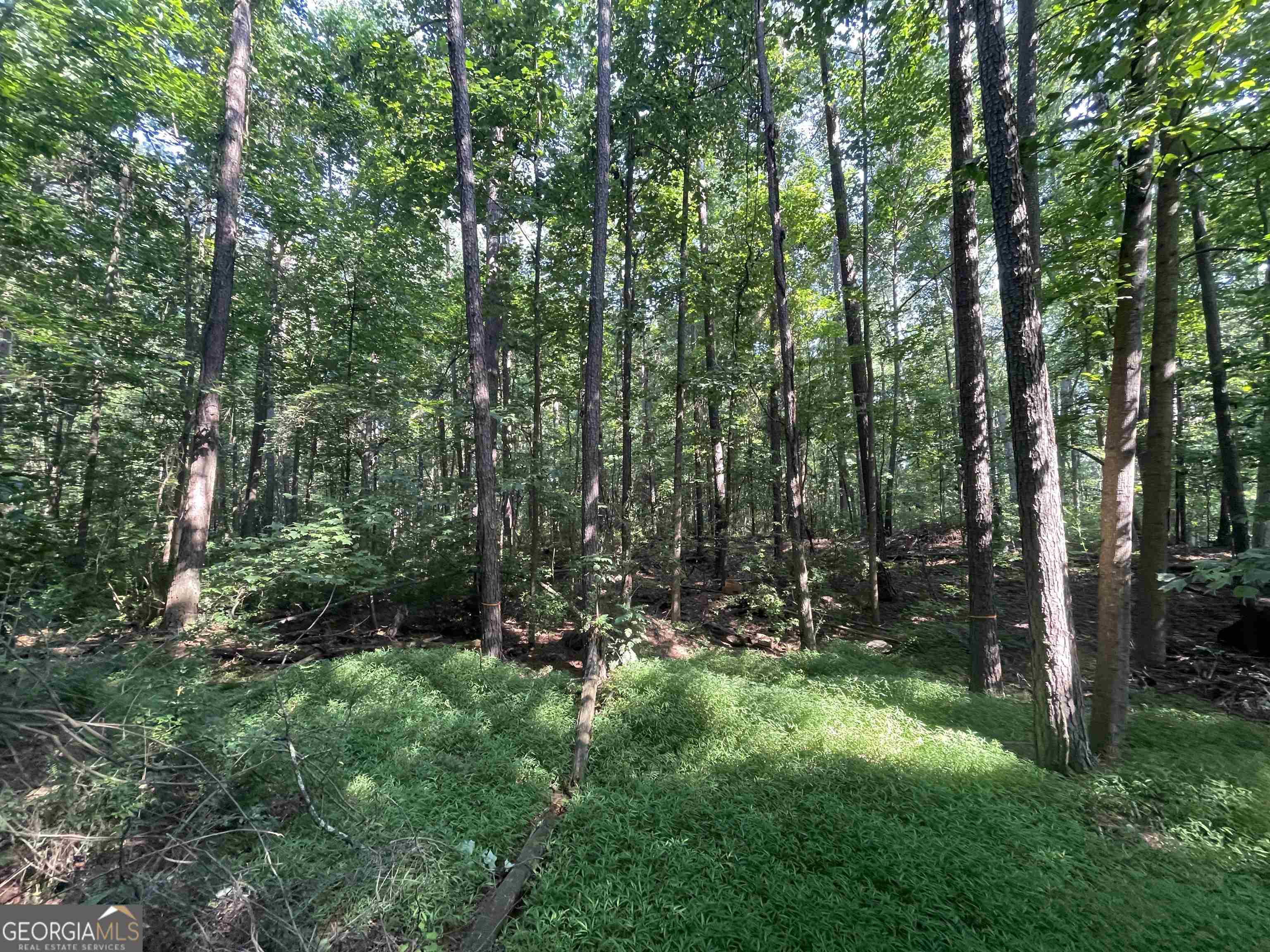 0 High Point Trail Property Photo 5