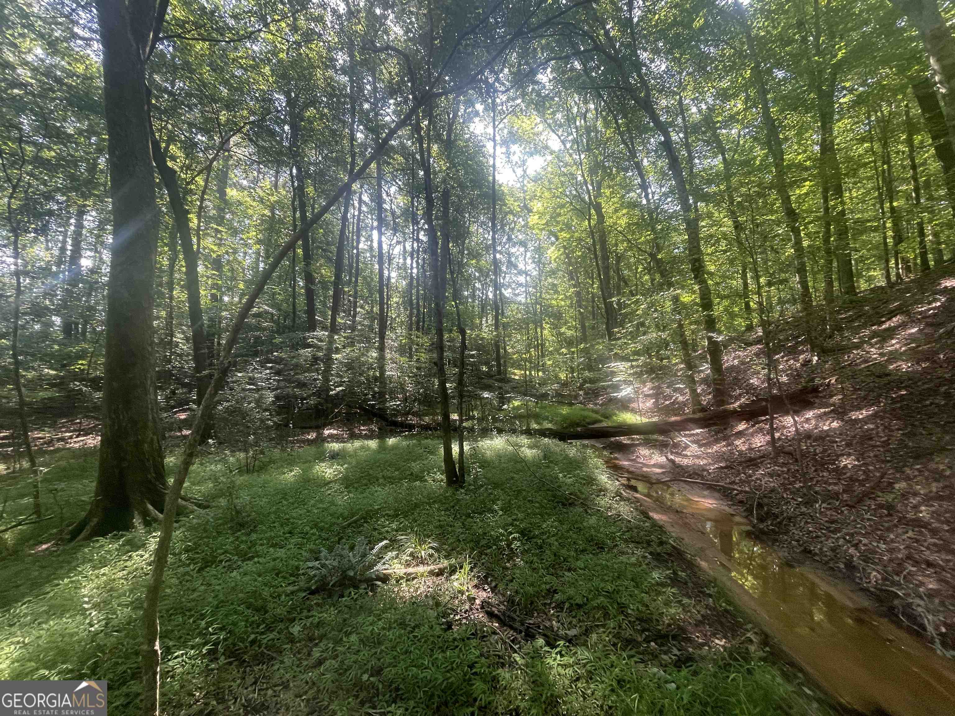 0 High Point Trail Property Photo 6