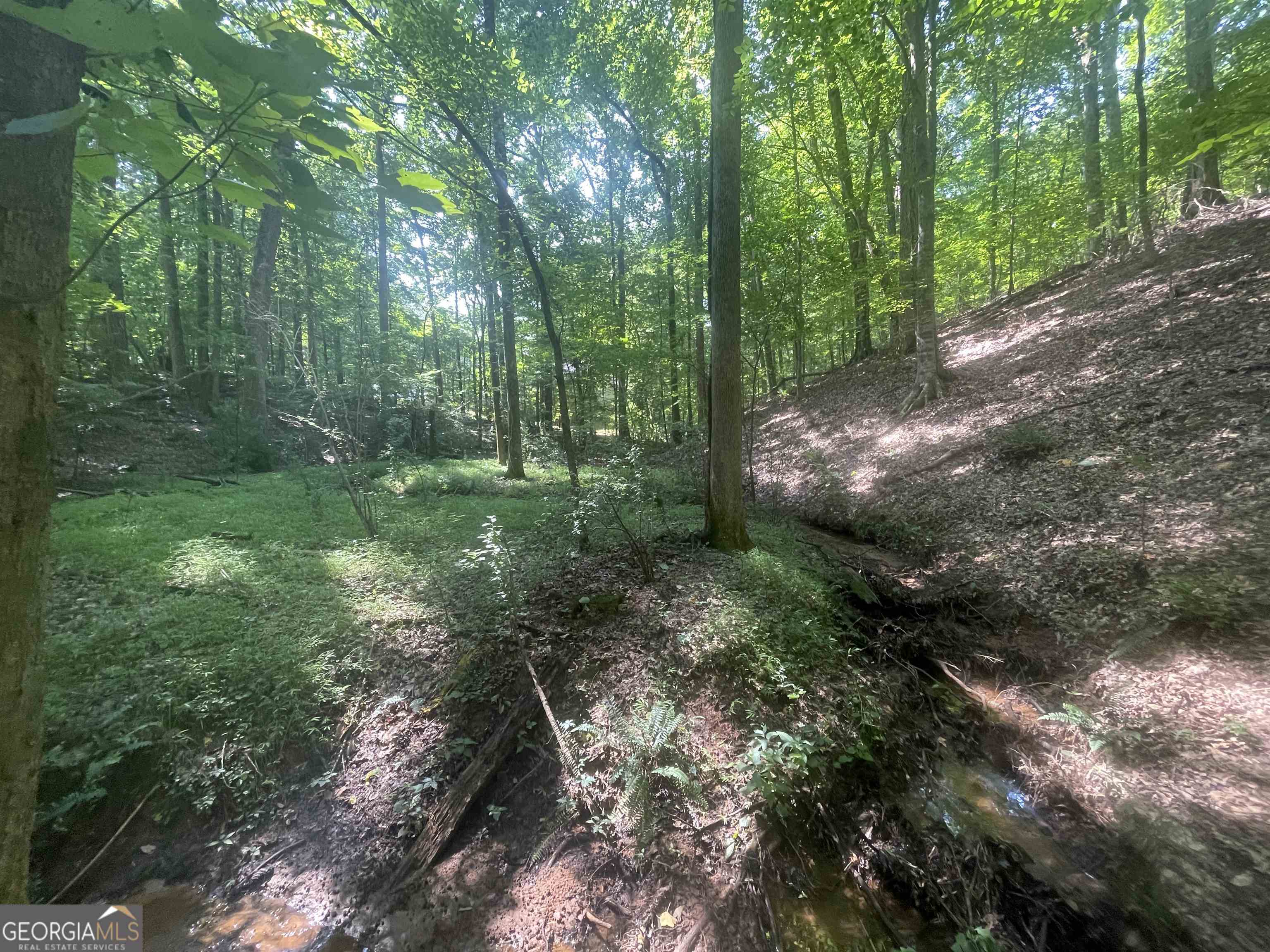 0 High Point Trail Property Photo 7